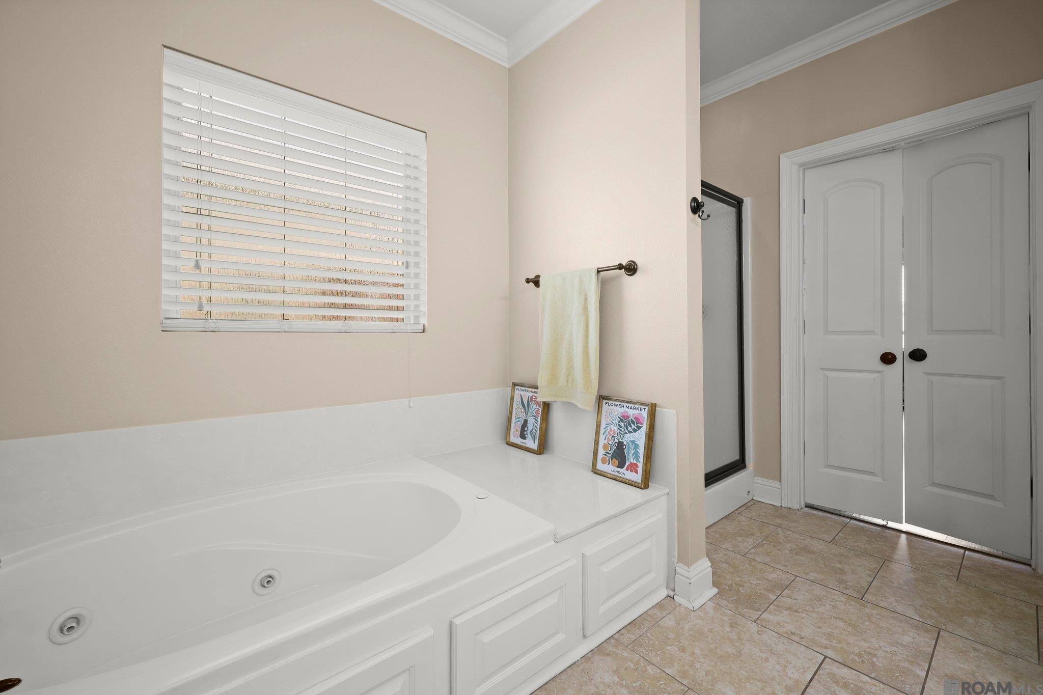 40444 Thomas Ave, Prairieville, Louisiana image 11