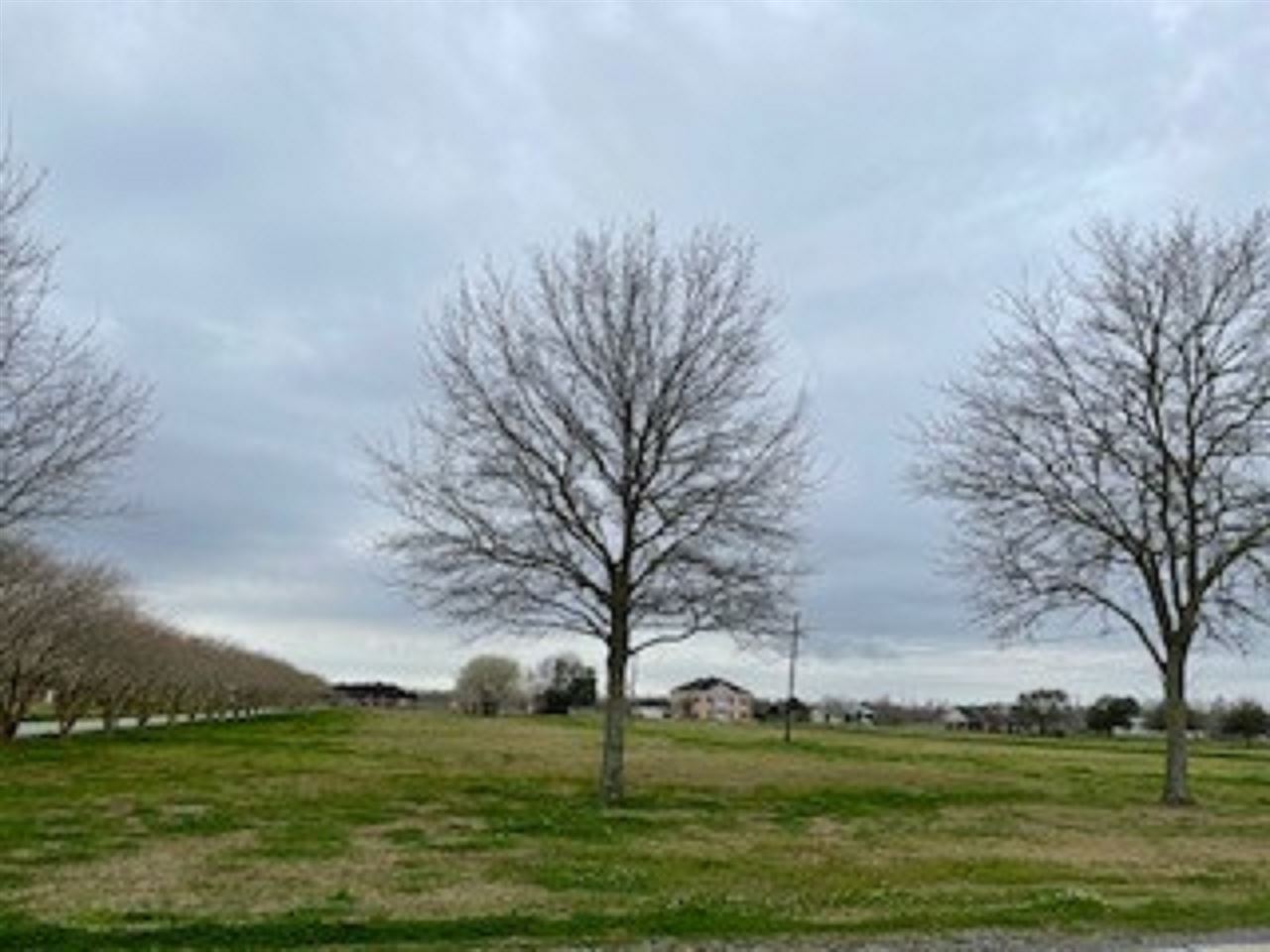 1651 Savanne Road, Houma, Louisiana image 8