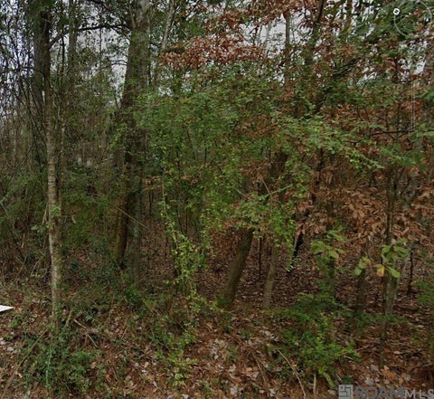 Vacant Land For Sale - 71 Gamma Ave<br/> Covington, LA 70435