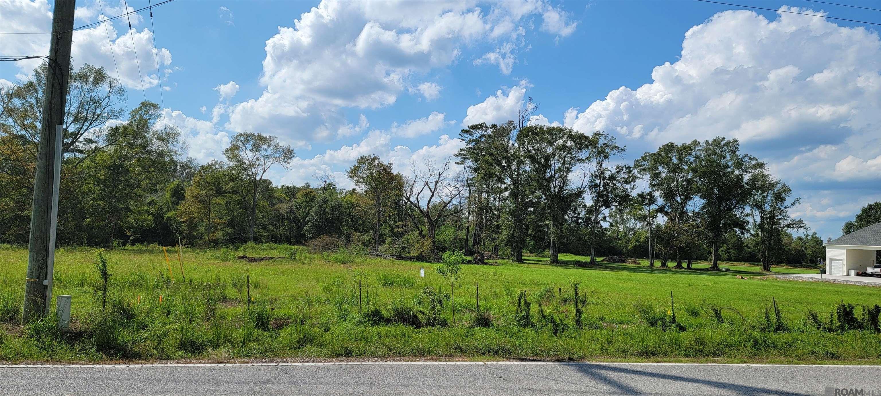15363 La Hwy 931, Prairieville, Louisiana image 5