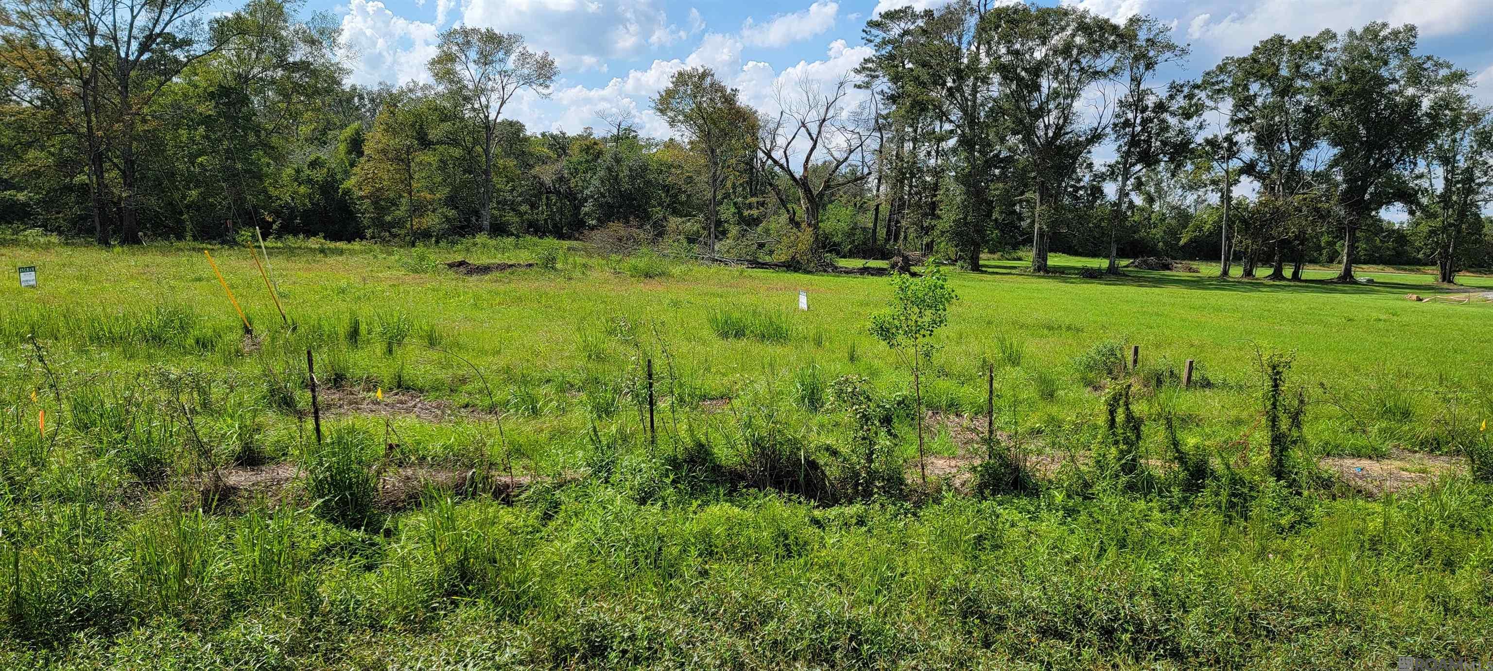 15363 La Hwy 931, Prairieville, Louisiana image 6