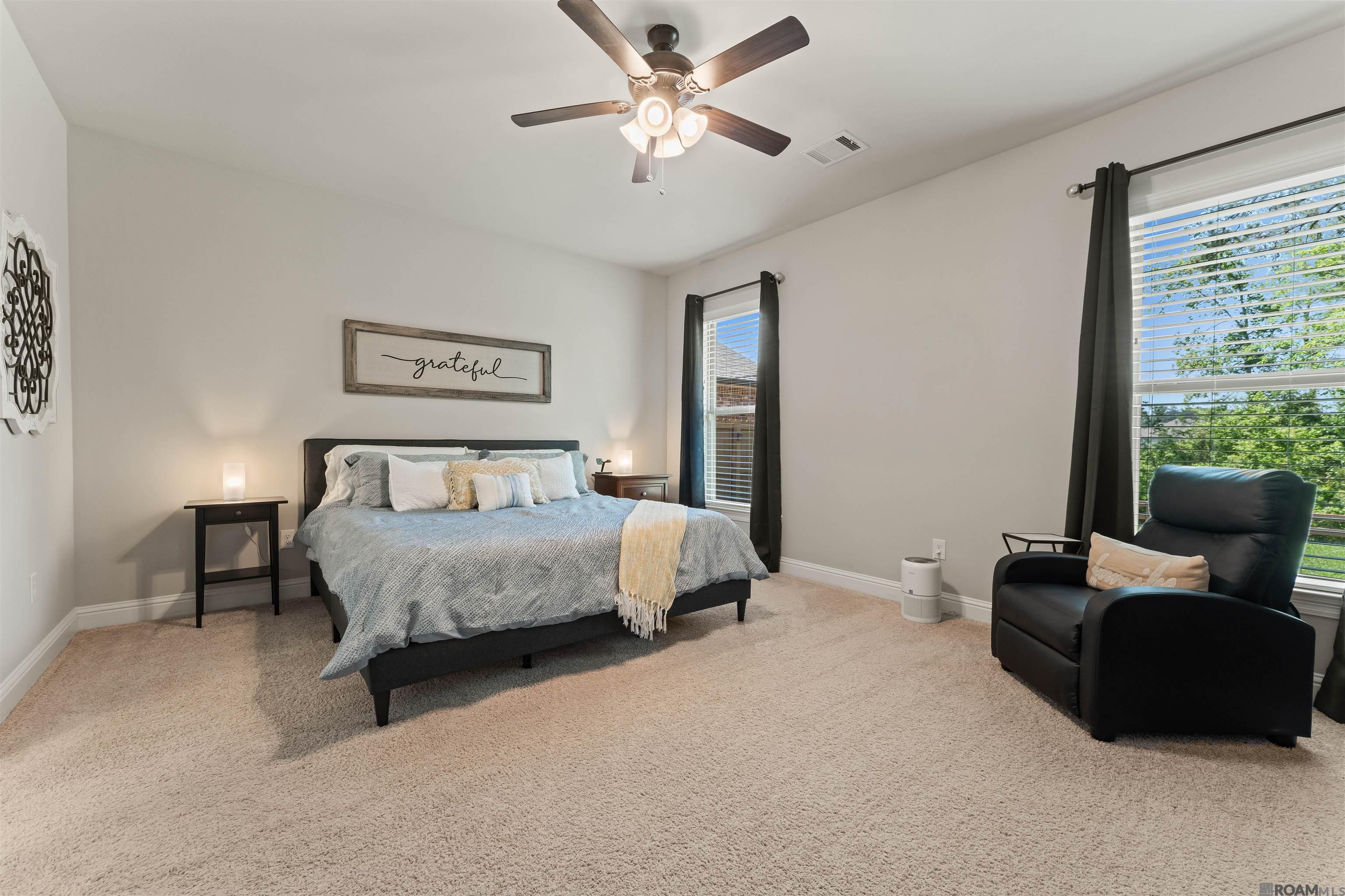 23311 Antler Lake Dr, Denham Springs, Louisiana image 5
