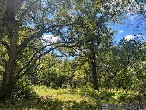 Vacant Land For Sale - 122 Carl W Ln<br/> Saint Helena County, Greensburg, LA 70441