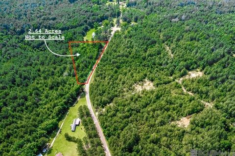 Vacant Land For Sale - TBD Jerusalem Road<br/> Amite County, Liberty, MS 39645