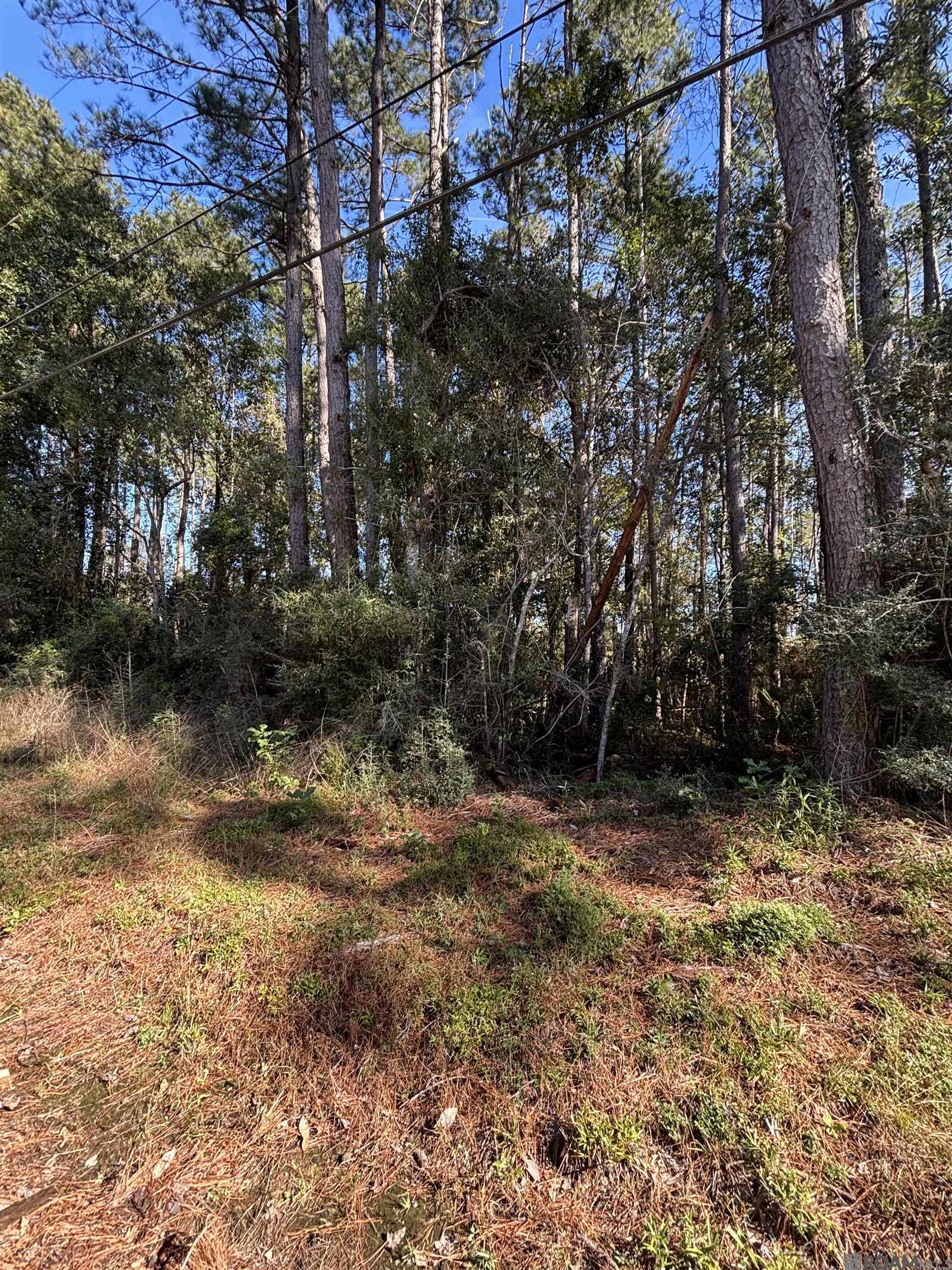 26514 Clyde Blount Rd, Livingston, Louisiana image 2