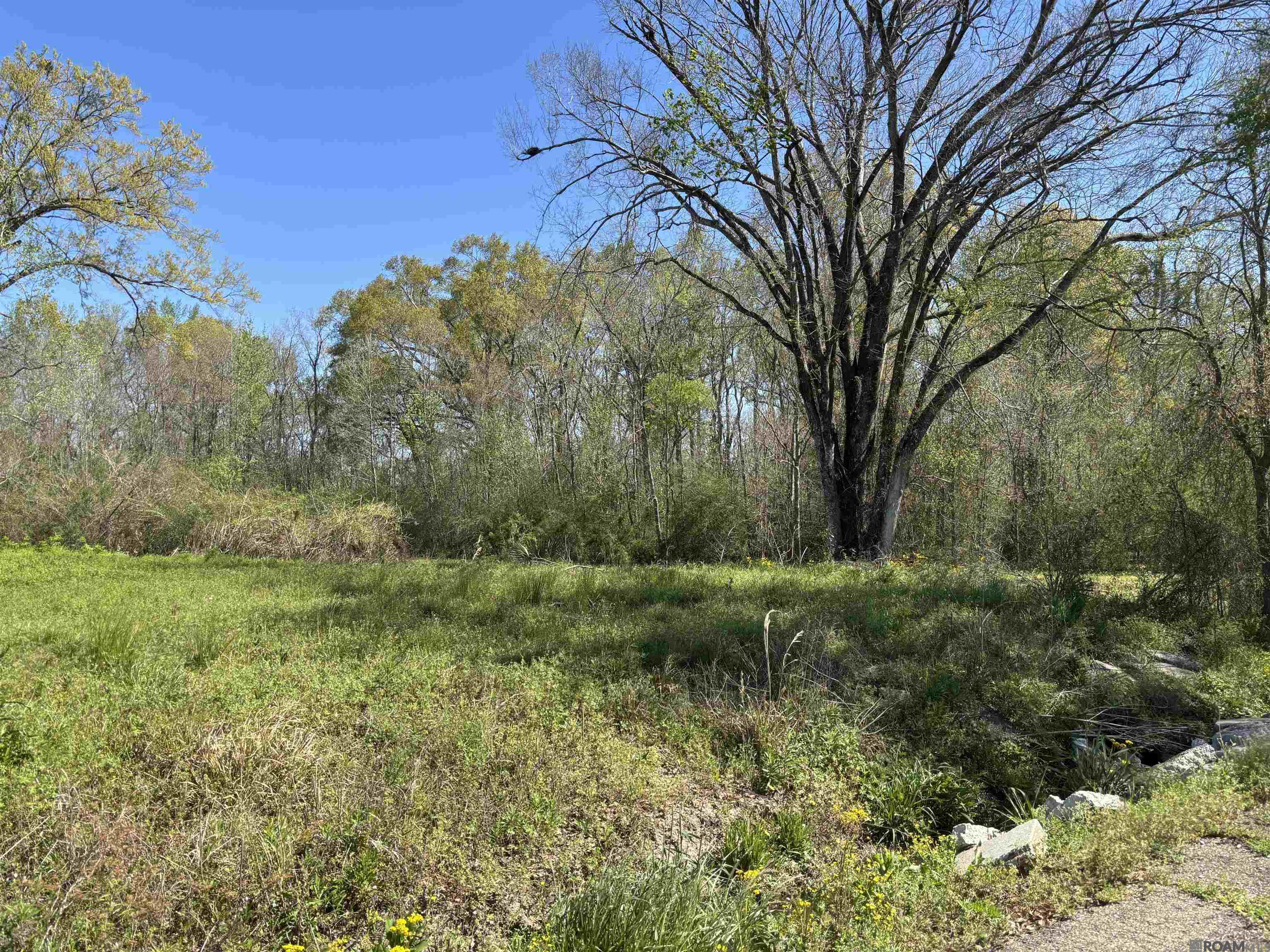 Don Lou Rd, Gonzales, Louisiana image 1