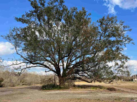 Vacant Land For Sale - 38174 Oakland Dr<br/> Prairieville, LA 70769