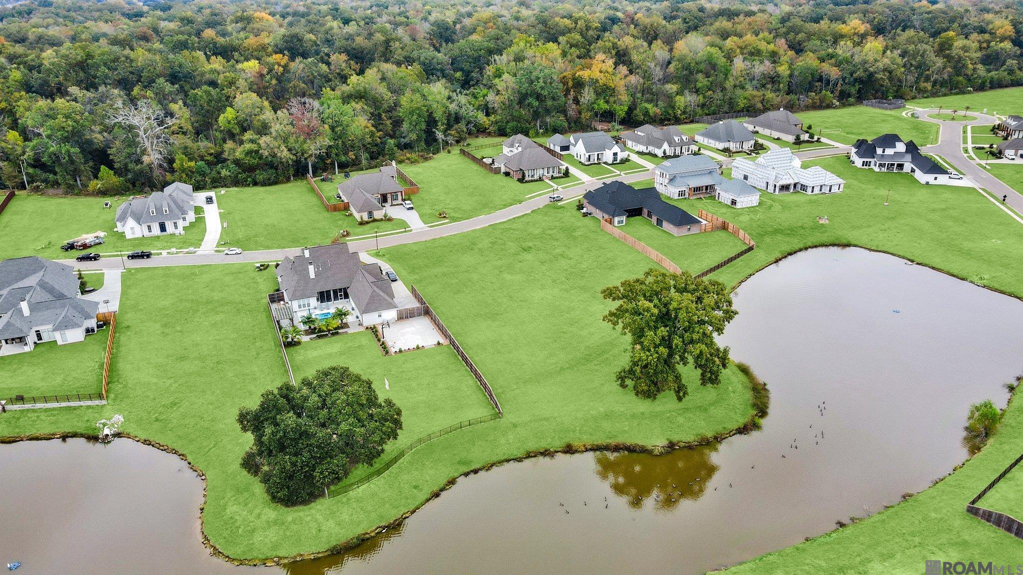 36333 Westin Ridge Dr, Geismar, Louisiana image 9