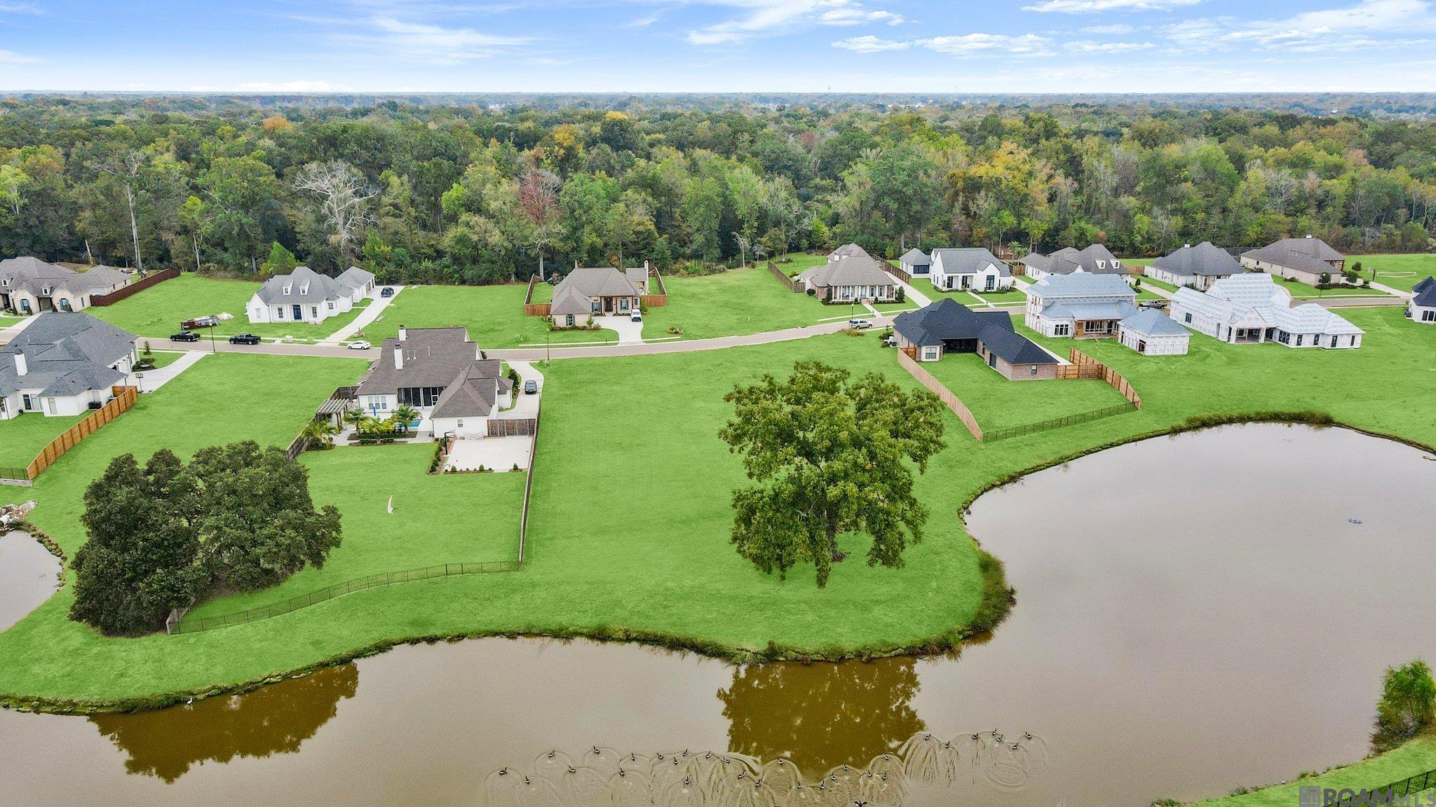 36333 Westin Ridge Dr, Geismar, Louisiana image 8
