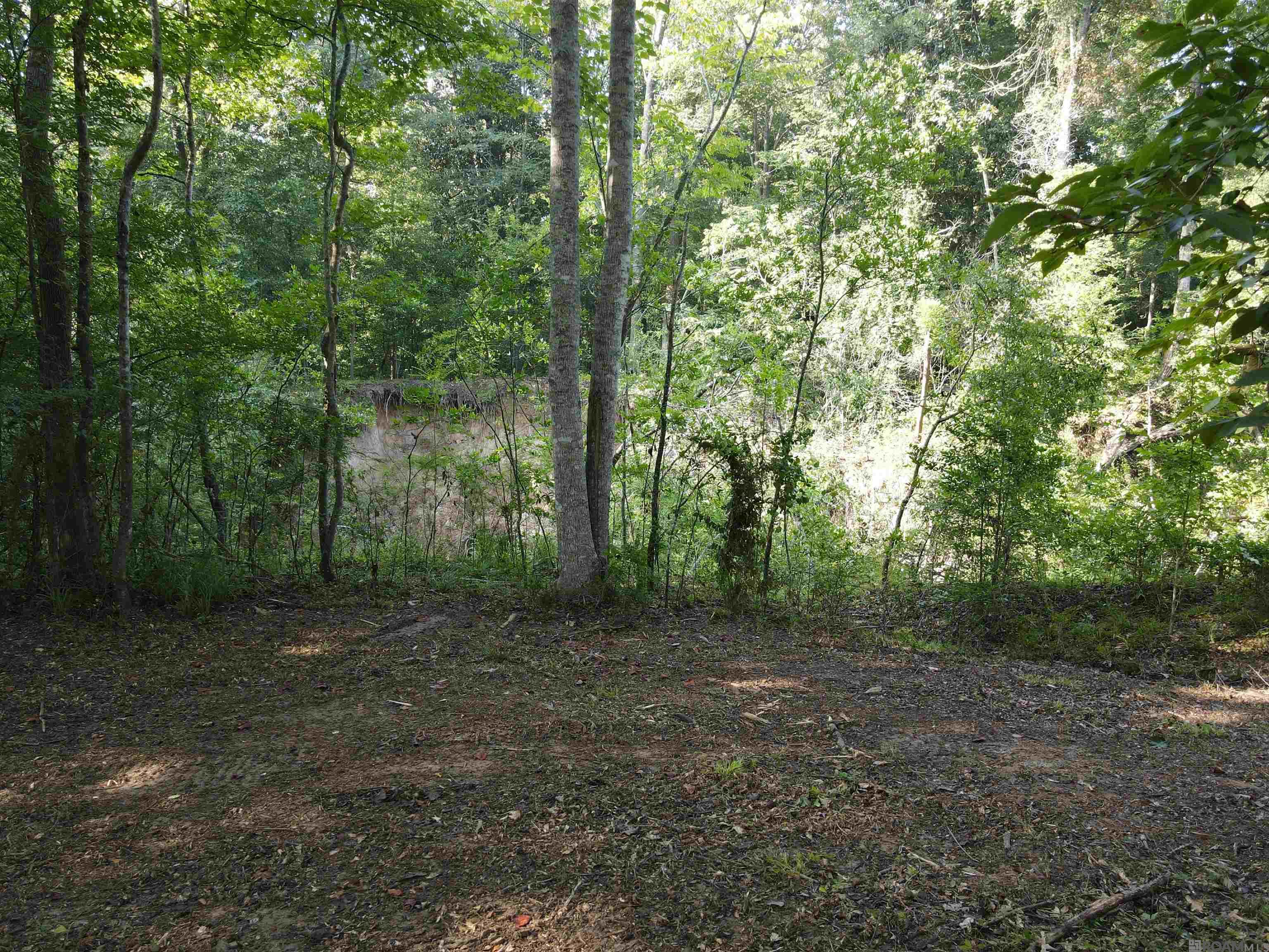 Lot 47 Treakle Dr, Zachary, Louisiana image 1