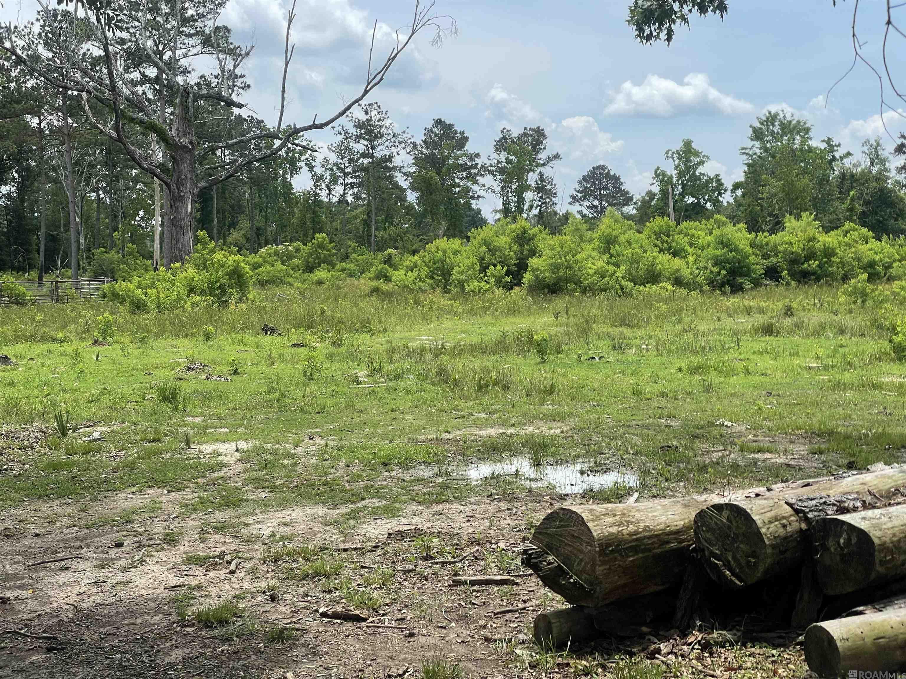 17068 La Hwy 933, Prairieville, Louisiana image 1
