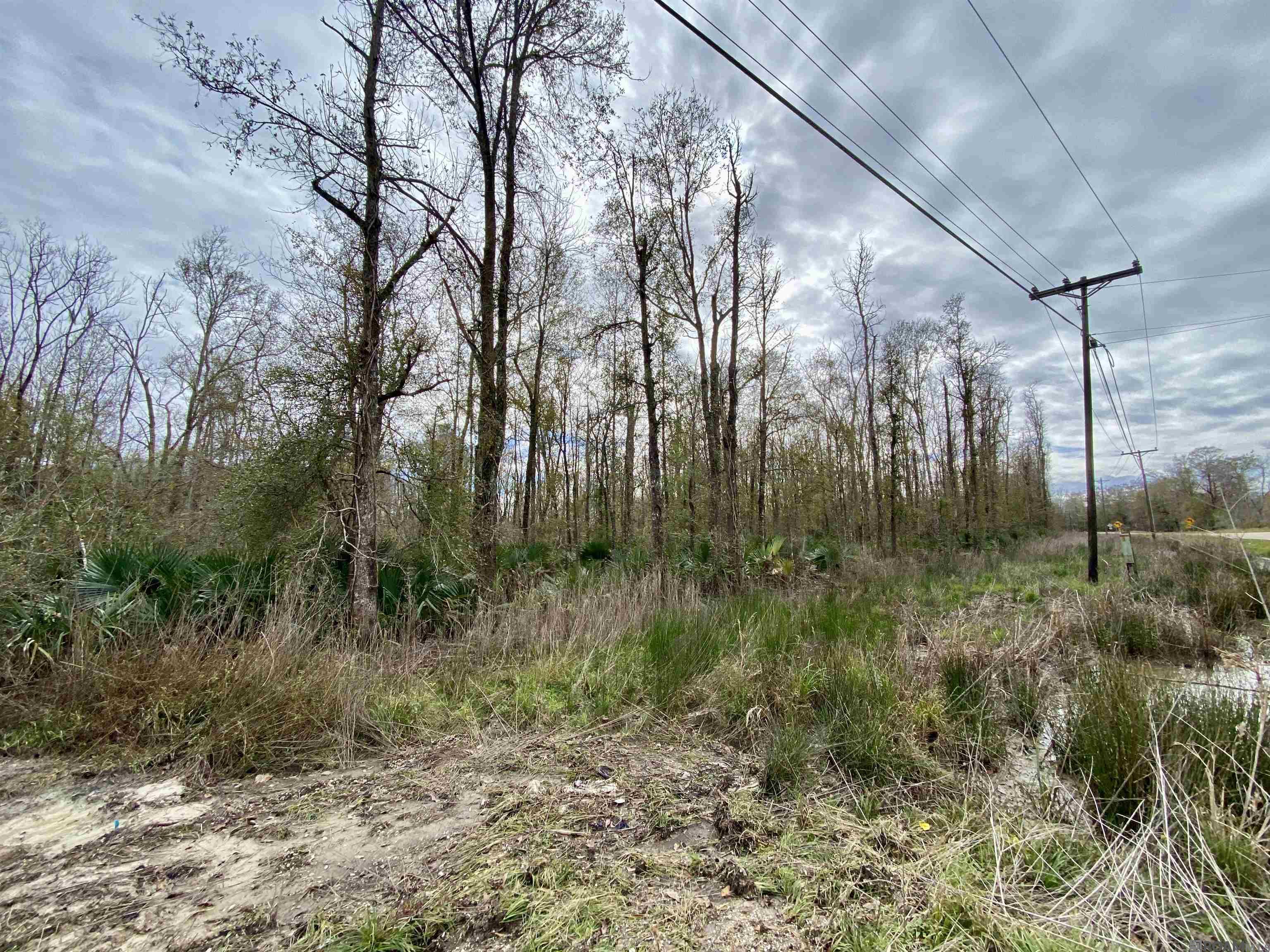 10 Acres La Hwy 22, Maurepas, Louisiana image 4