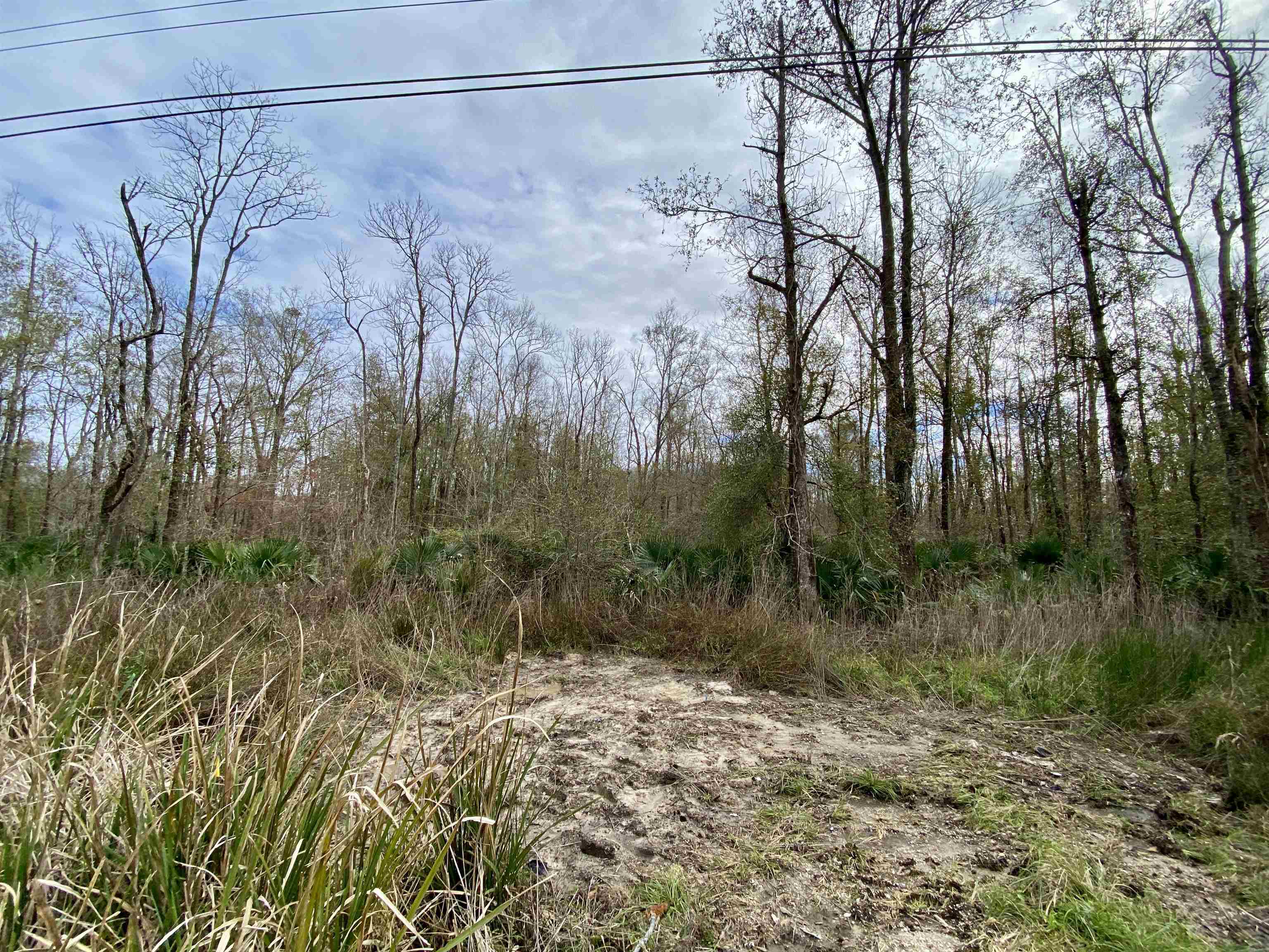 10 Acres La Hwy 22, Maurepas, Louisiana image 1