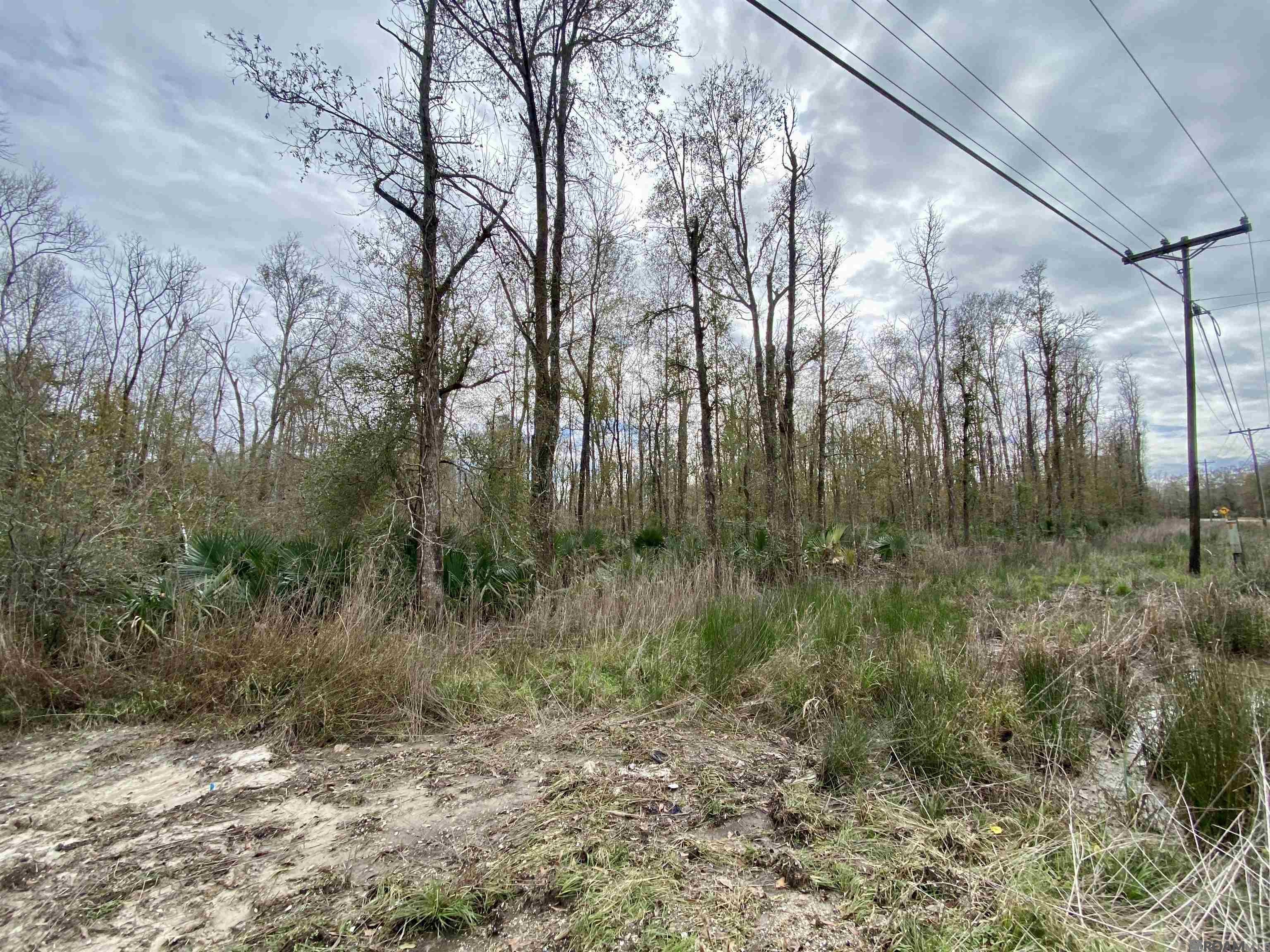 10 Acres La Hwy 22, Maurepas, Louisiana image 3