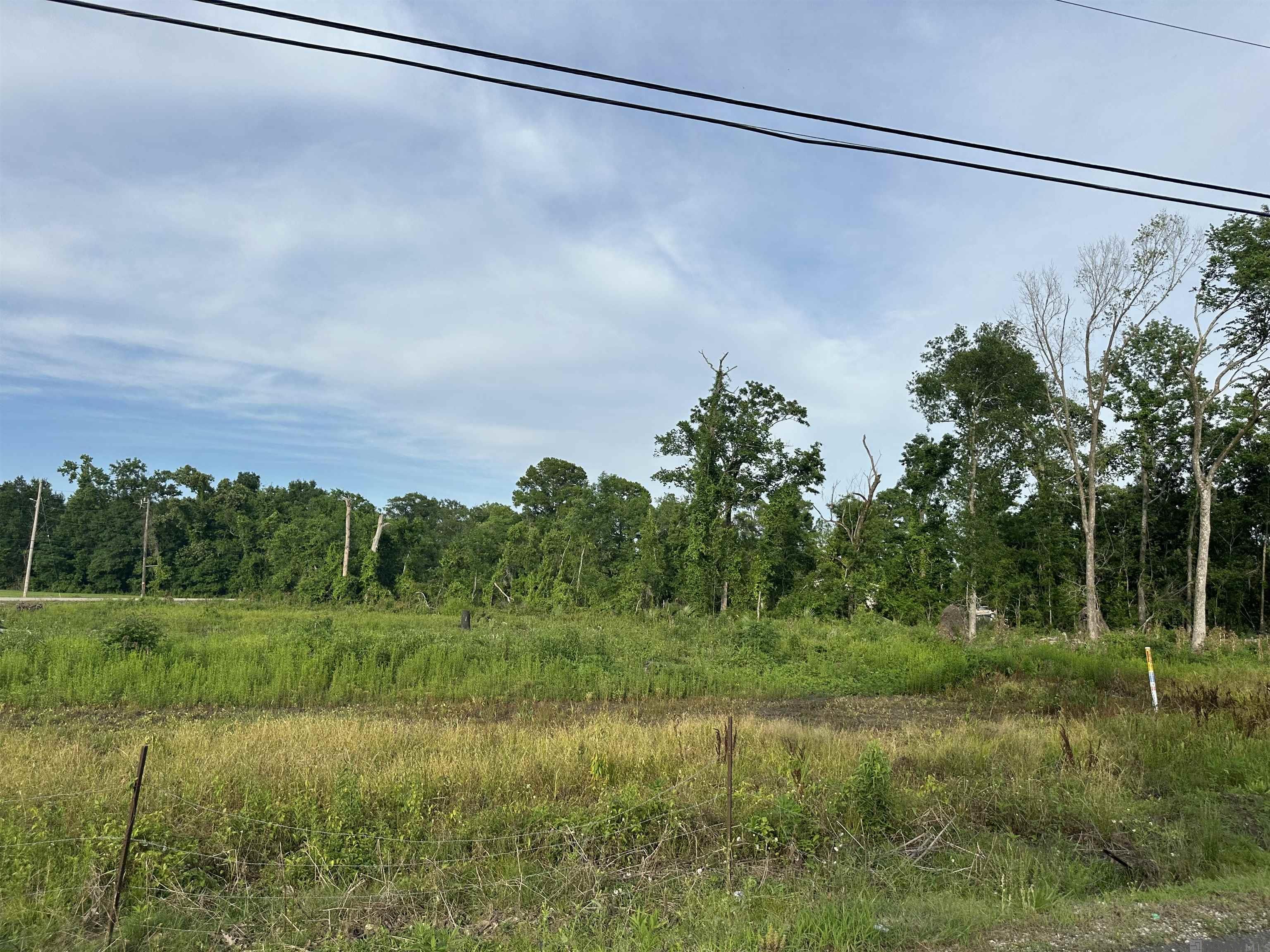 42455 Church Point Rd, Gonzales, Louisiana image 8