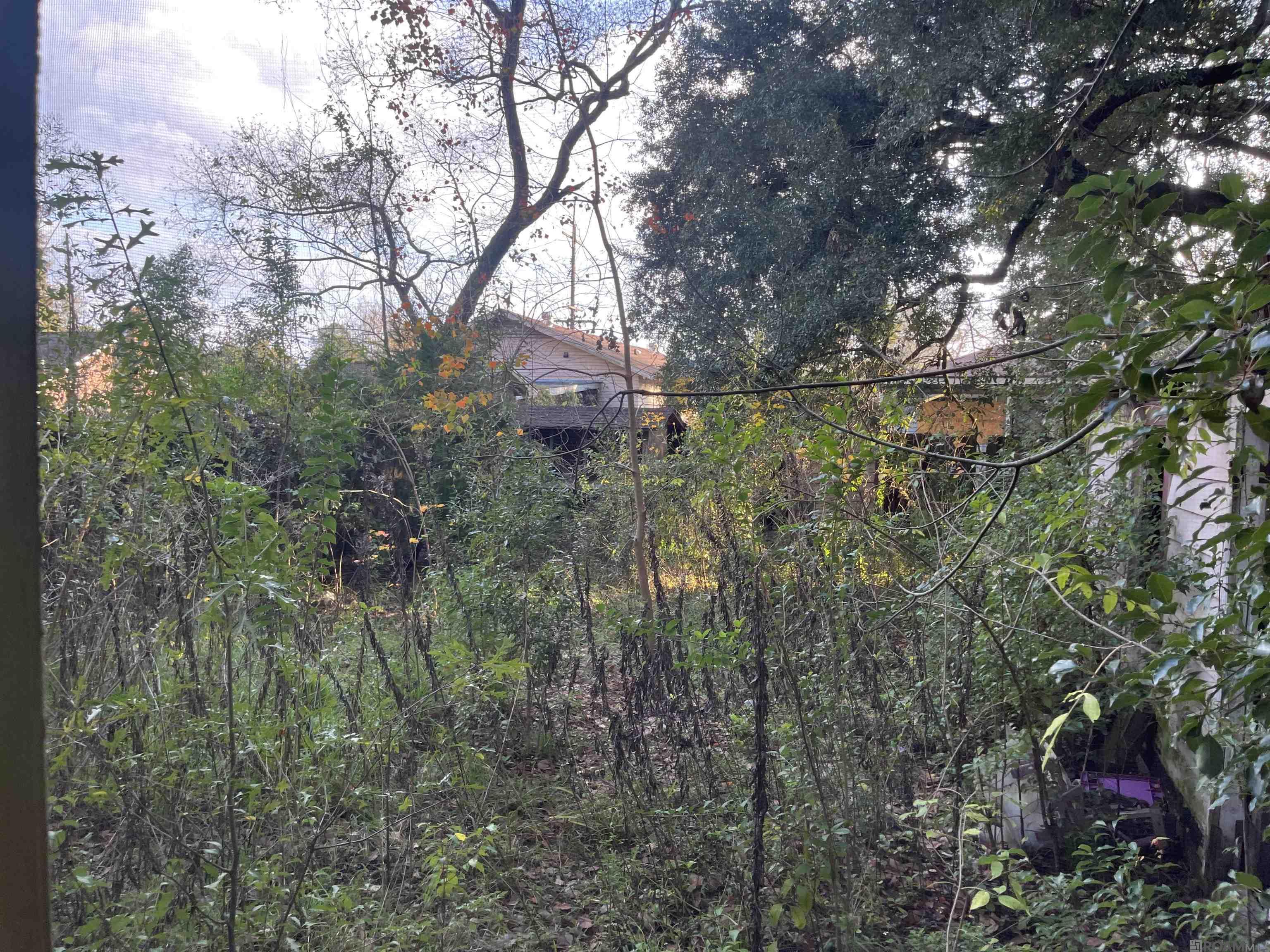 2736 Adams Ave, Baton Rouge, Louisiana image 6