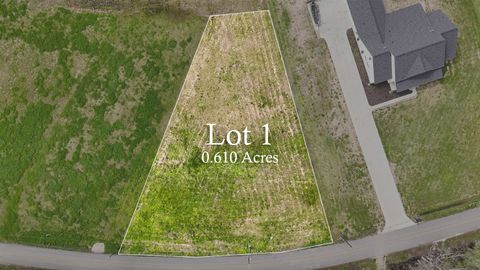 Vacant Land For Sale - 606 Bayou Dr<br/> Assumption County, Pierre Part, LA 70339