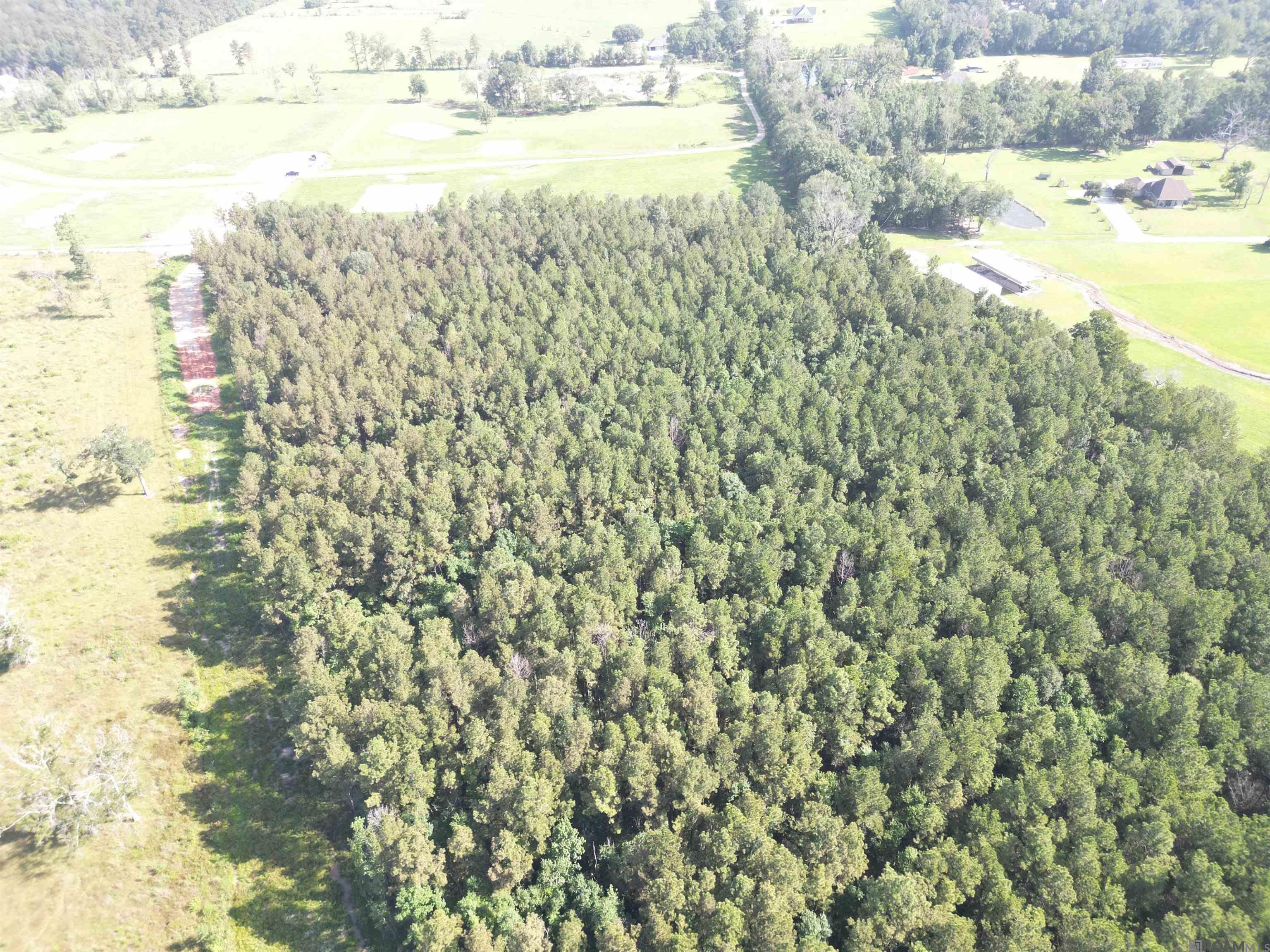 LOT 1 Critter Cove Ln, Livingston, Louisiana image 6