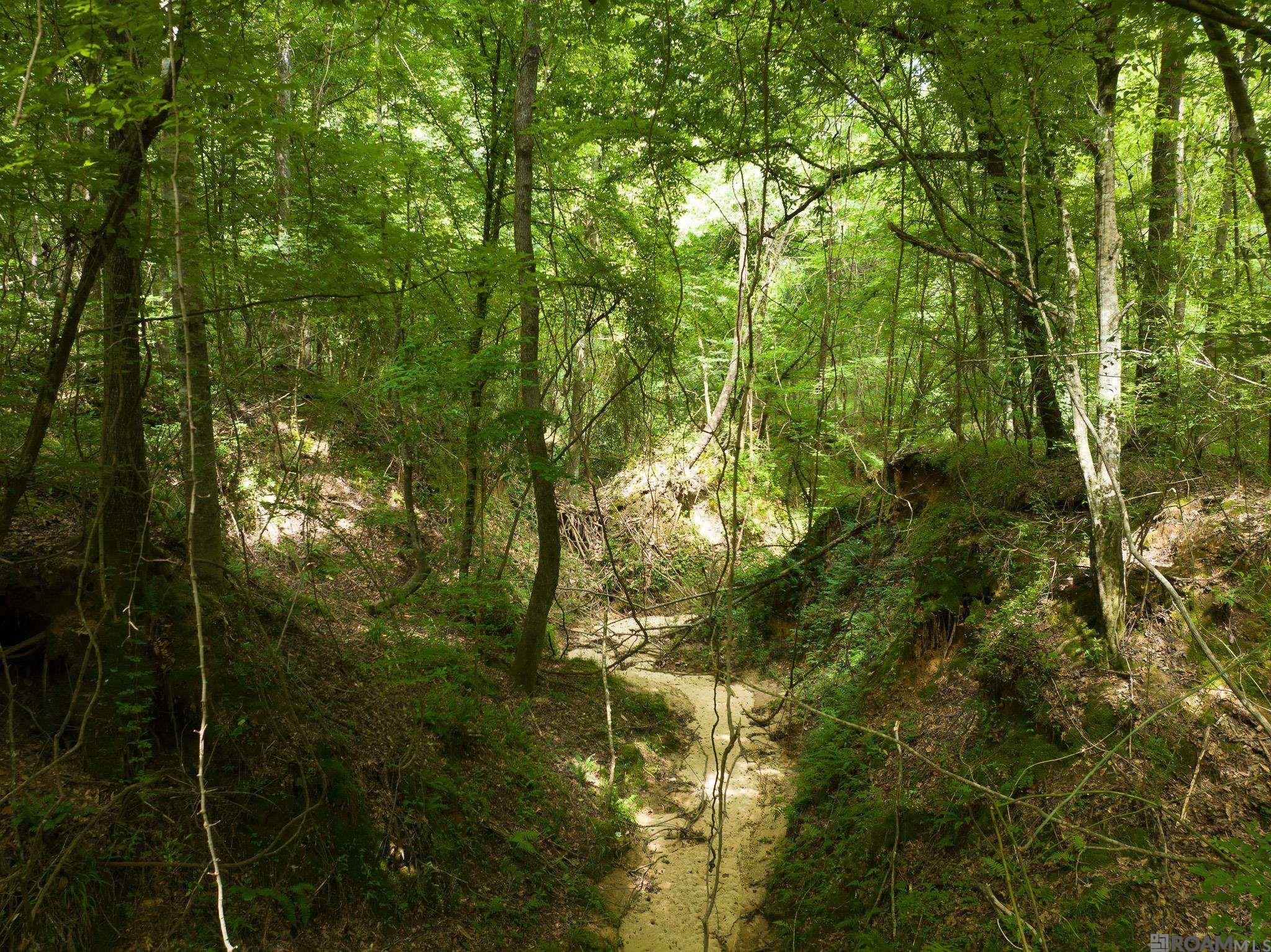 TBD Stirling Rd, Saint Francisville, Louisiana image 7
