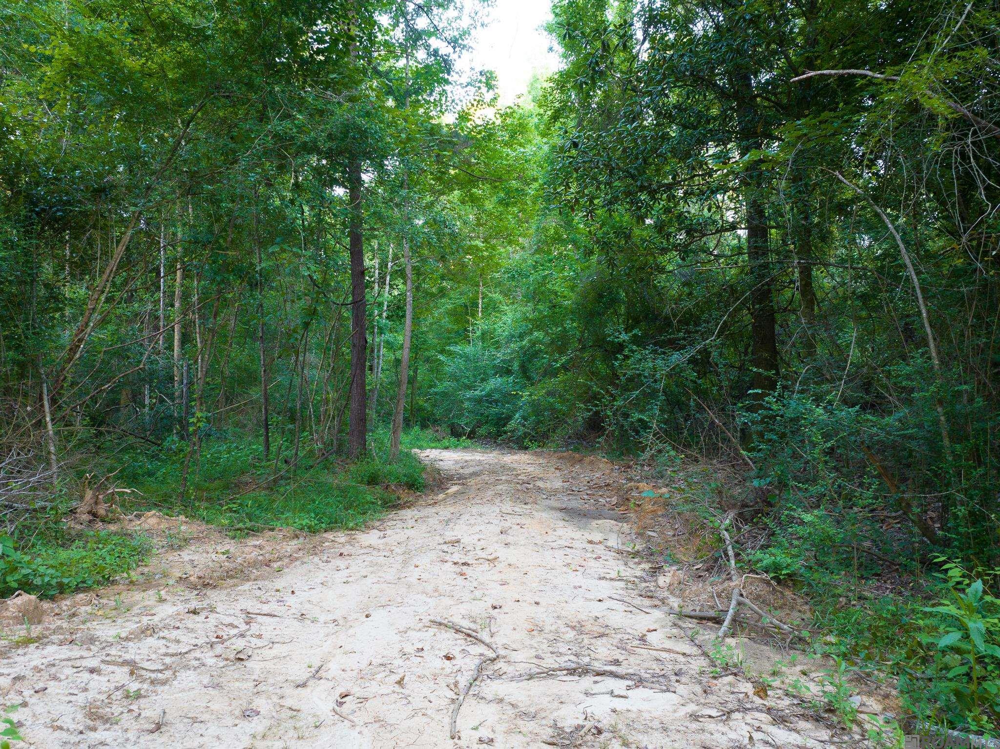 TBD Stirling Rd, Saint Francisville, Louisiana image 5