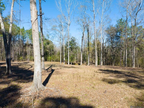 Vacant Land For Sale - 7312 Stirling Rd<br/> Saint Francisville, LA 70775