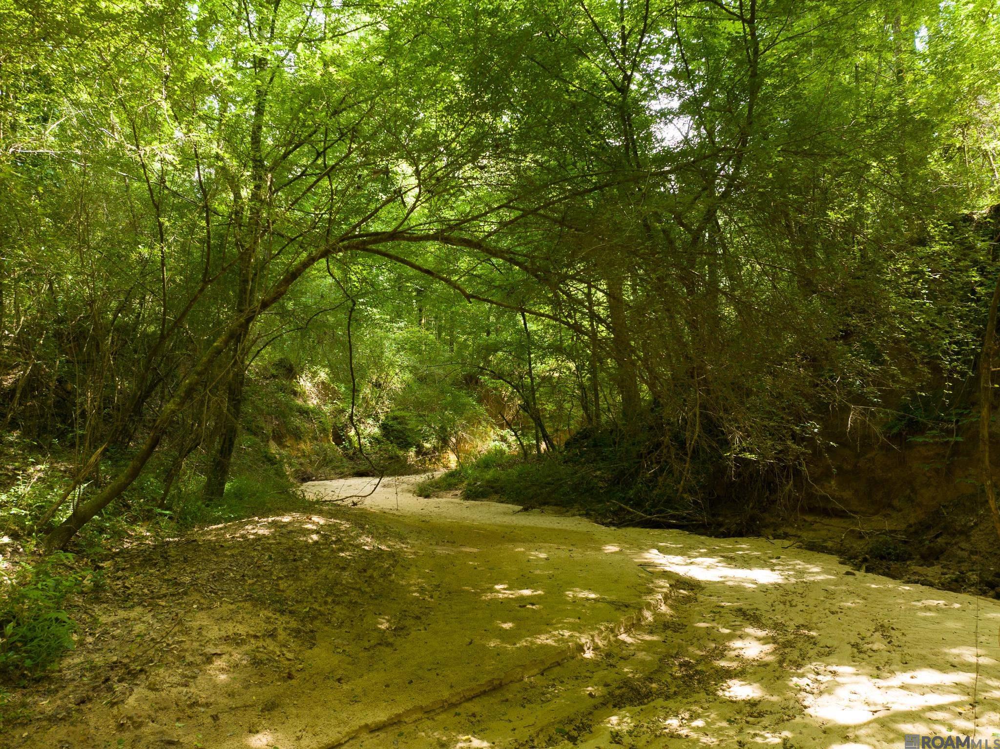 TBD Stirling Rd, Saint Francisville, Louisiana image 9
