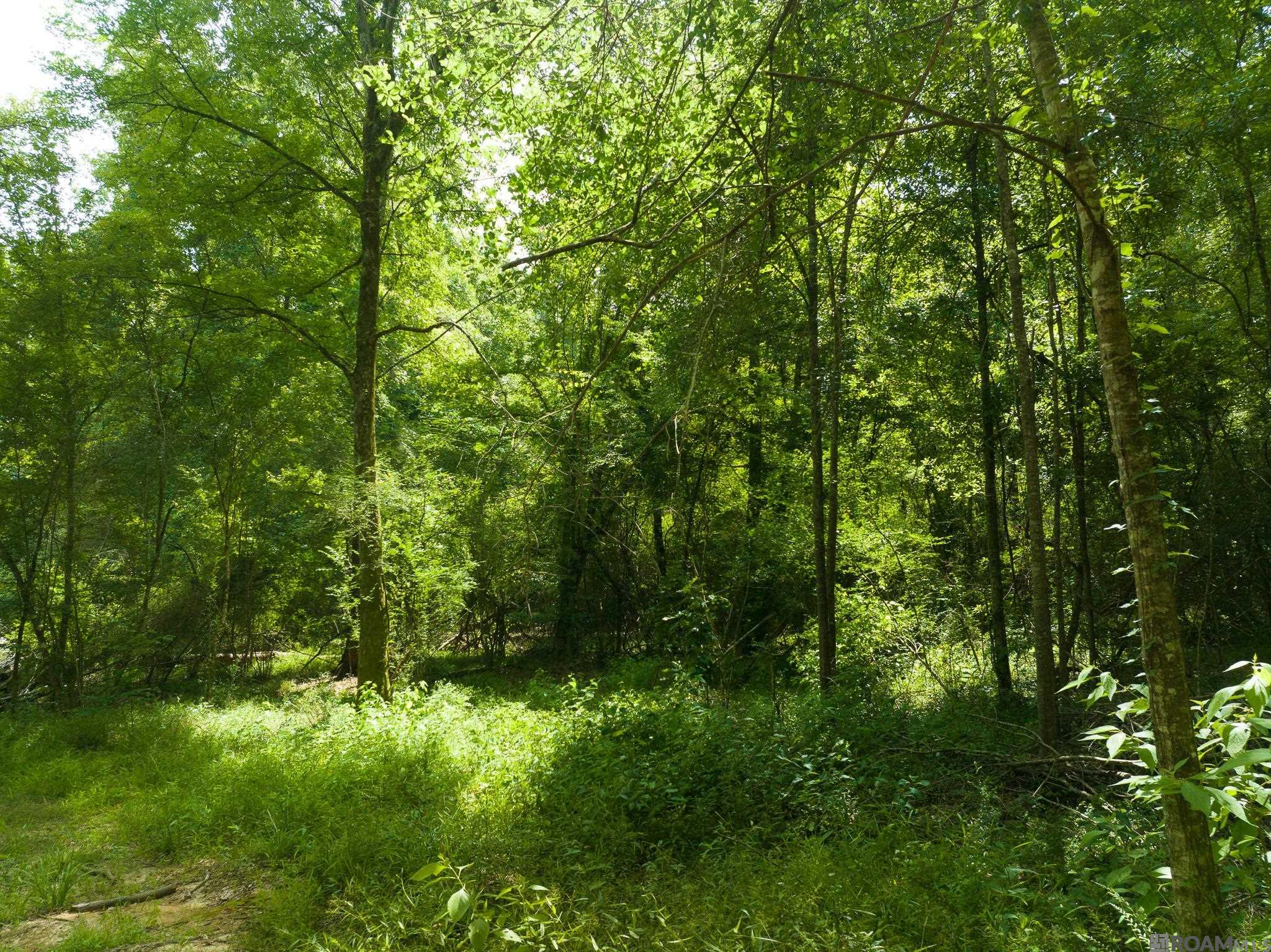 TBD Stirling Rd, Saint Francisville, Louisiana image 4