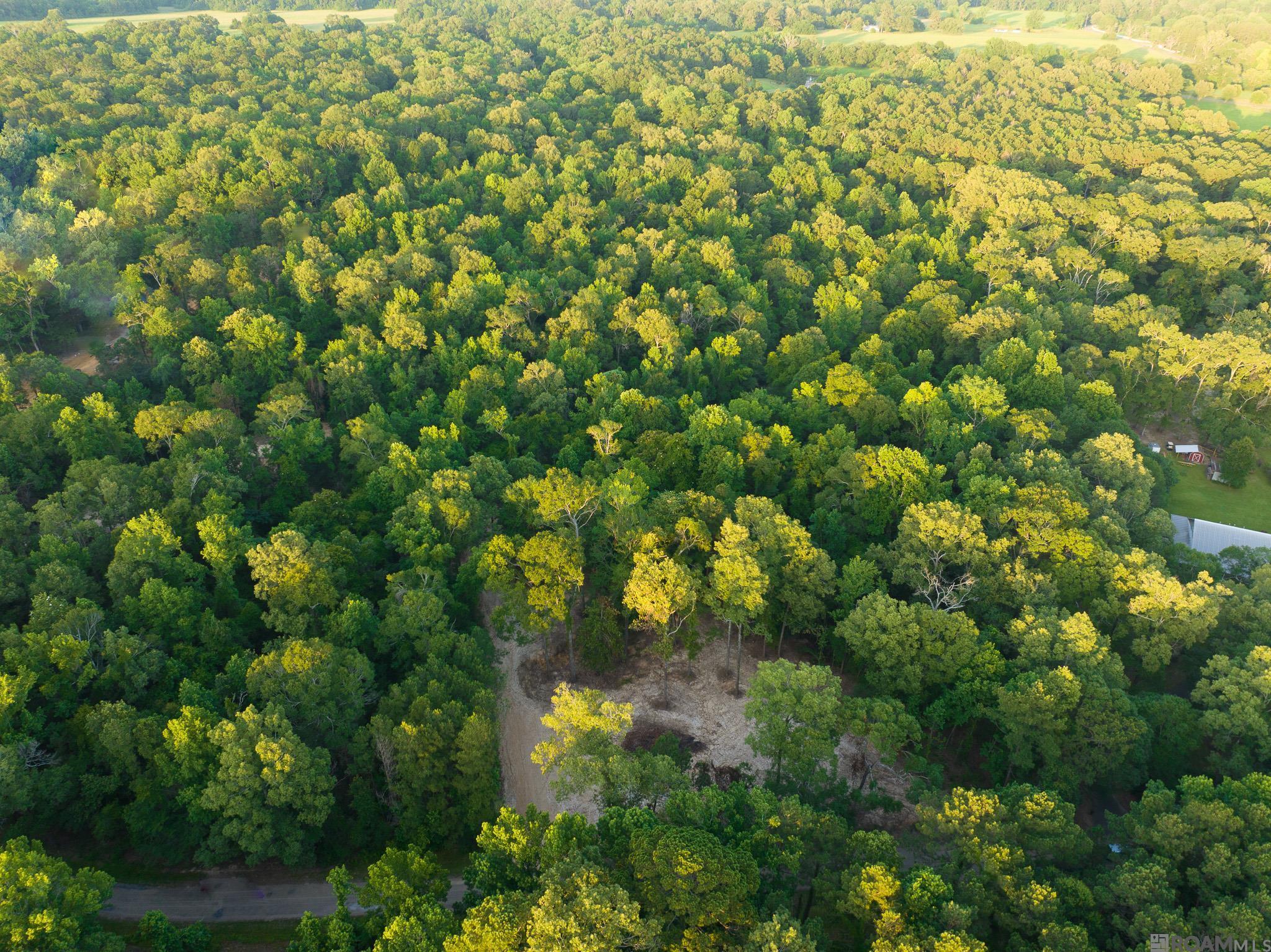 TBD Stirling Rd, Saint Francisville, Louisiana image 1