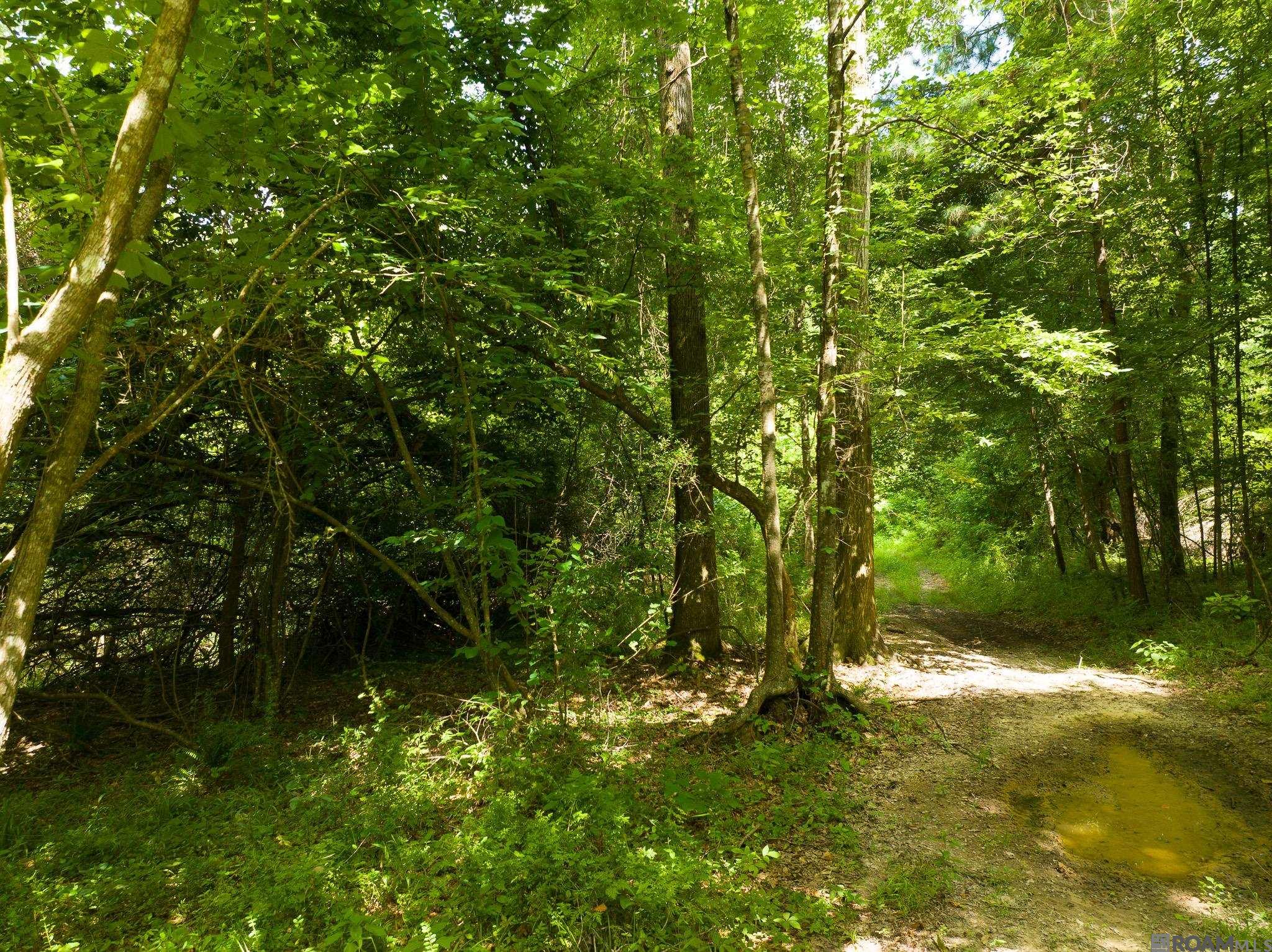 TBD Stirling Rd, Saint Francisville, Louisiana image 14