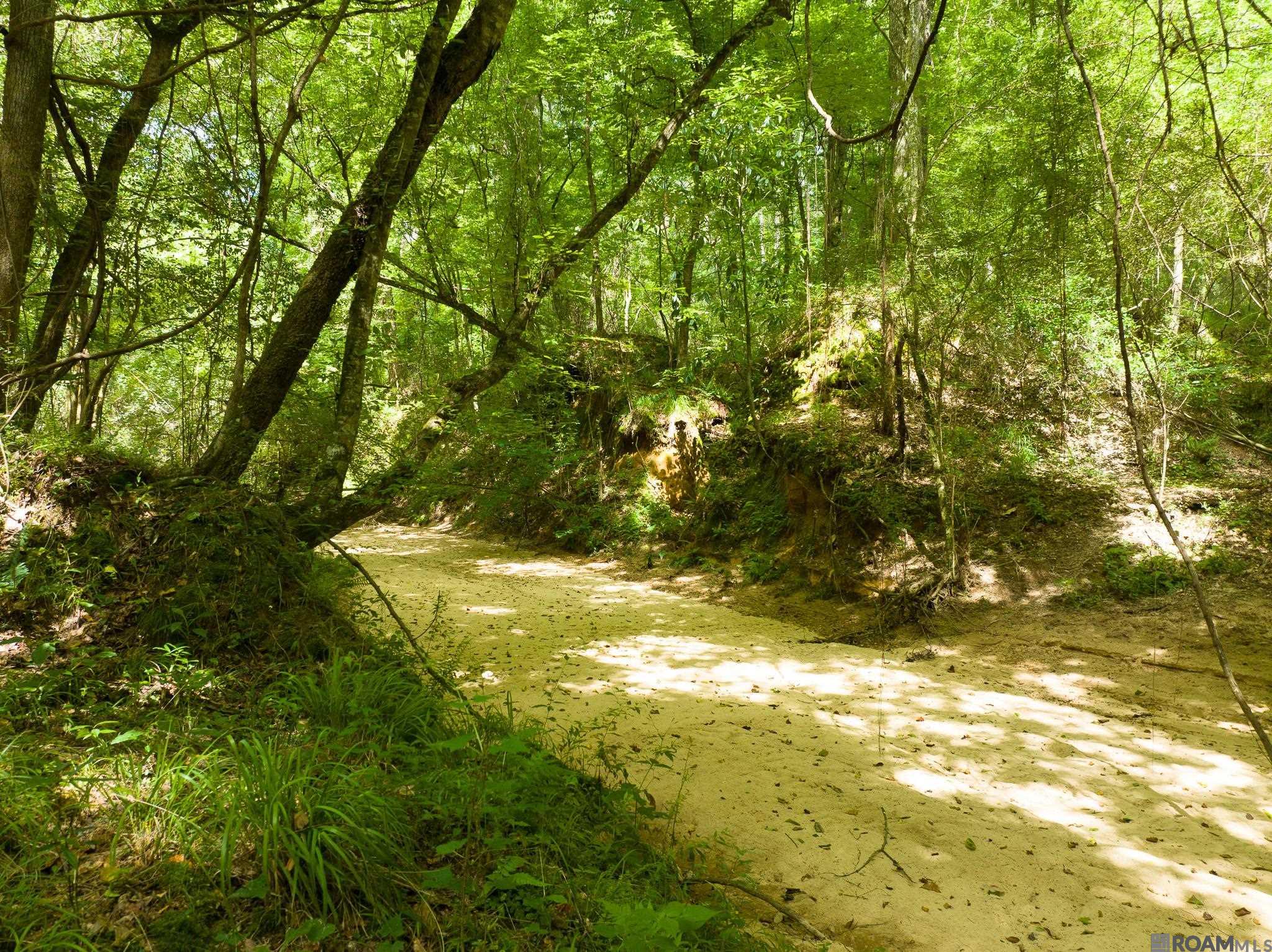 TBD Stirling Rd, Saint Francisville, Louisiana image 10
