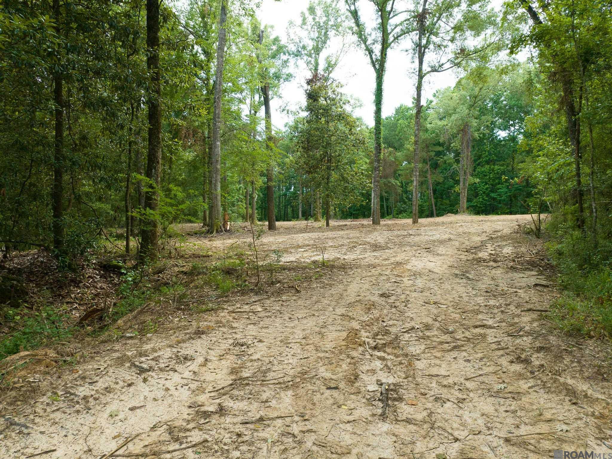 TBD Stirling Rd, Saint Francisville, Louisiana image 2