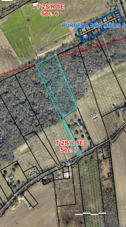 Vacant Land For Sale - TRACT D La Hwy 418<br/> Pointe Coupee County, Batchelor, LA 70715
