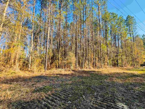 Vacant Land For Sale - LOT 21 La Hwy 449<br/> Pine Grove, LA 70453