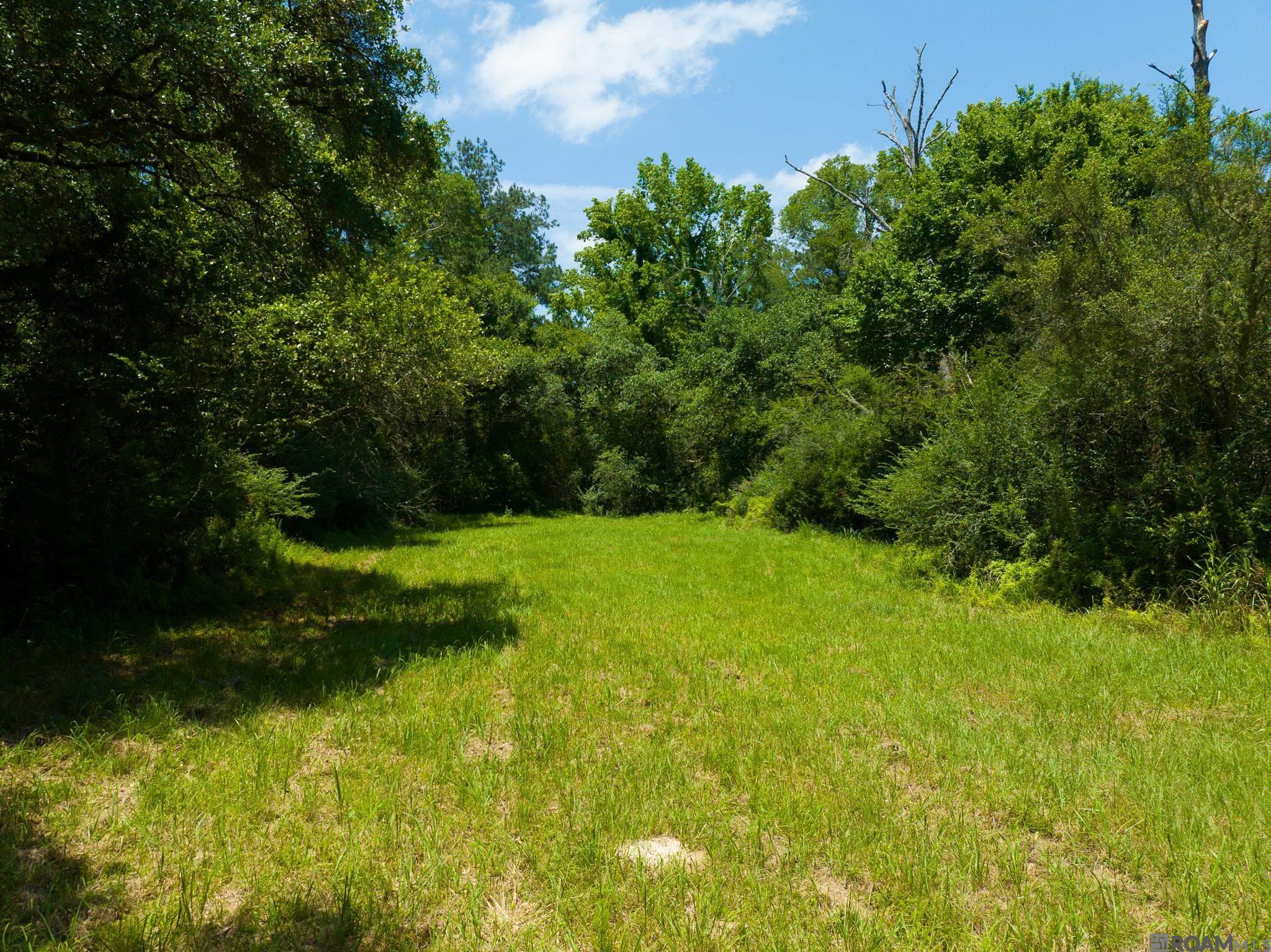 8536 Highland Rd, Saint Francisville, Louisiana image 16