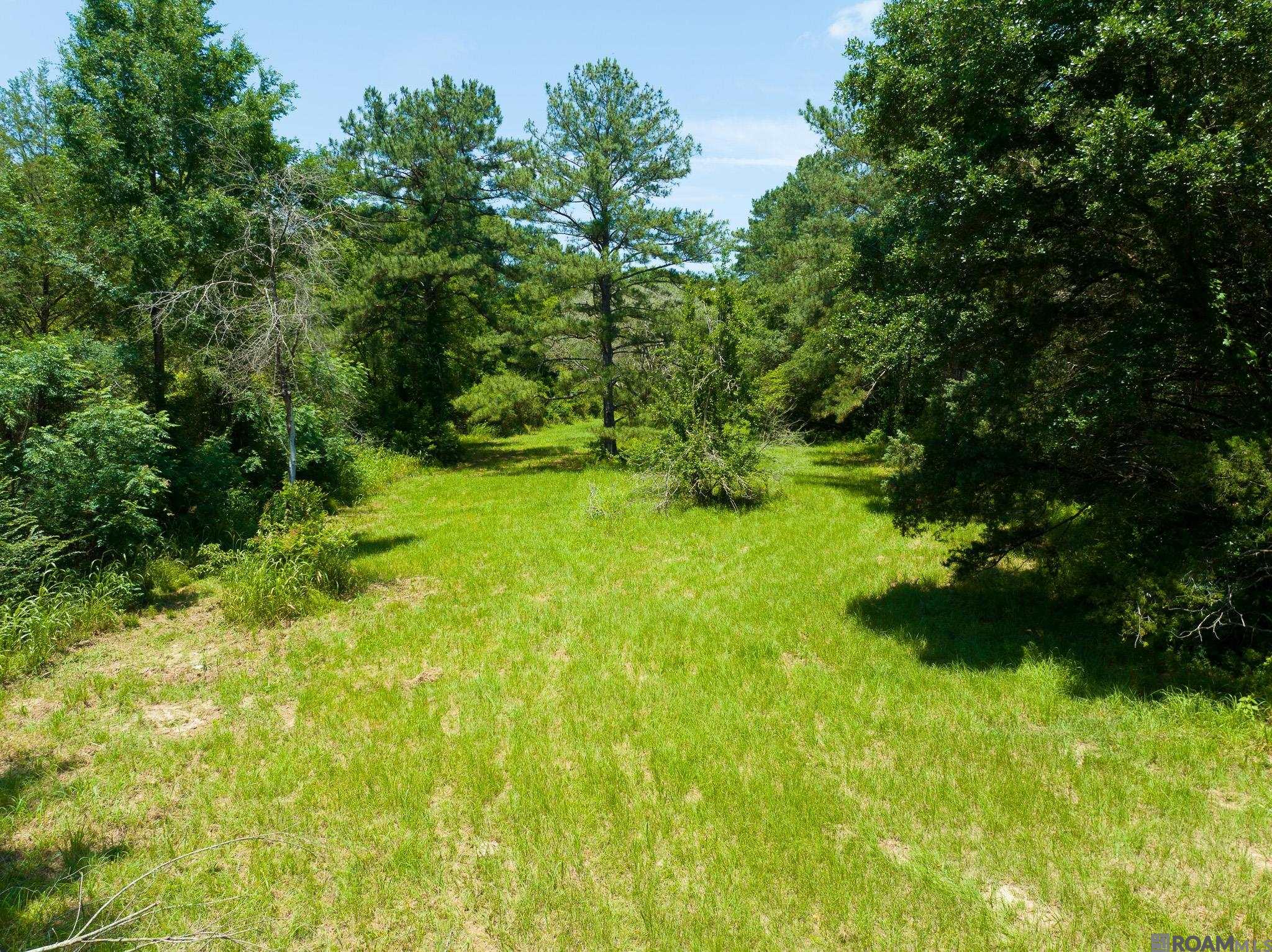 8536 Highland Rd, Saint Francisville, Louisiana image 24