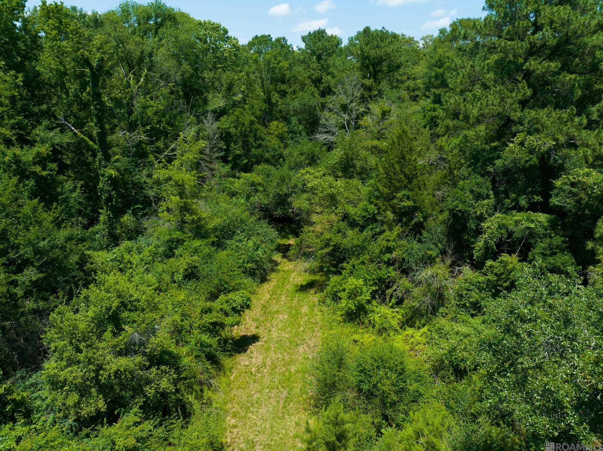 8536 Highland Rd, Saint Francisville, Louisiana image 26