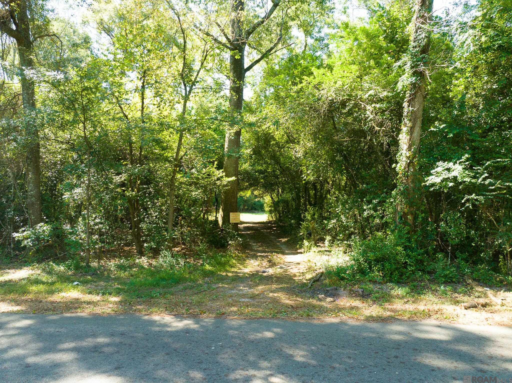 8536 Highland Rd, Saint Francisville, Louisiana image 4