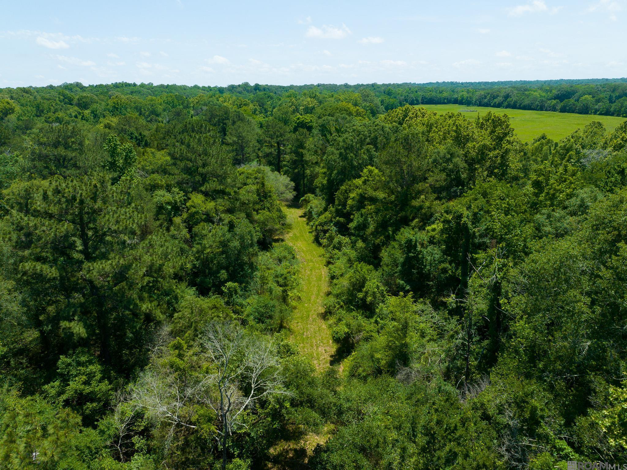8536 Highland Rd, Saint Francisville, Louisiana image 25