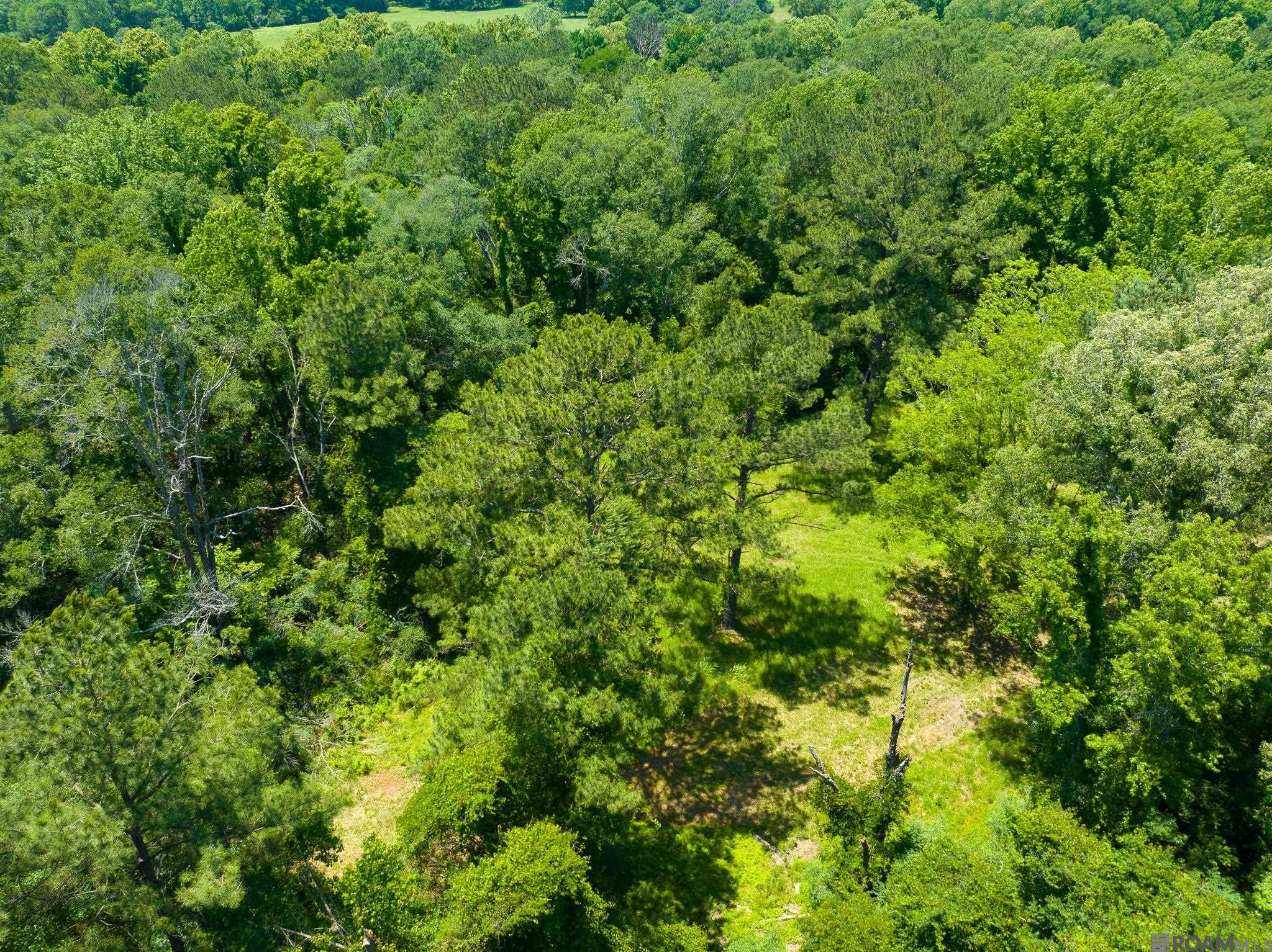 8536 Highland Rd, Saint Francisville, Louisiana image 22