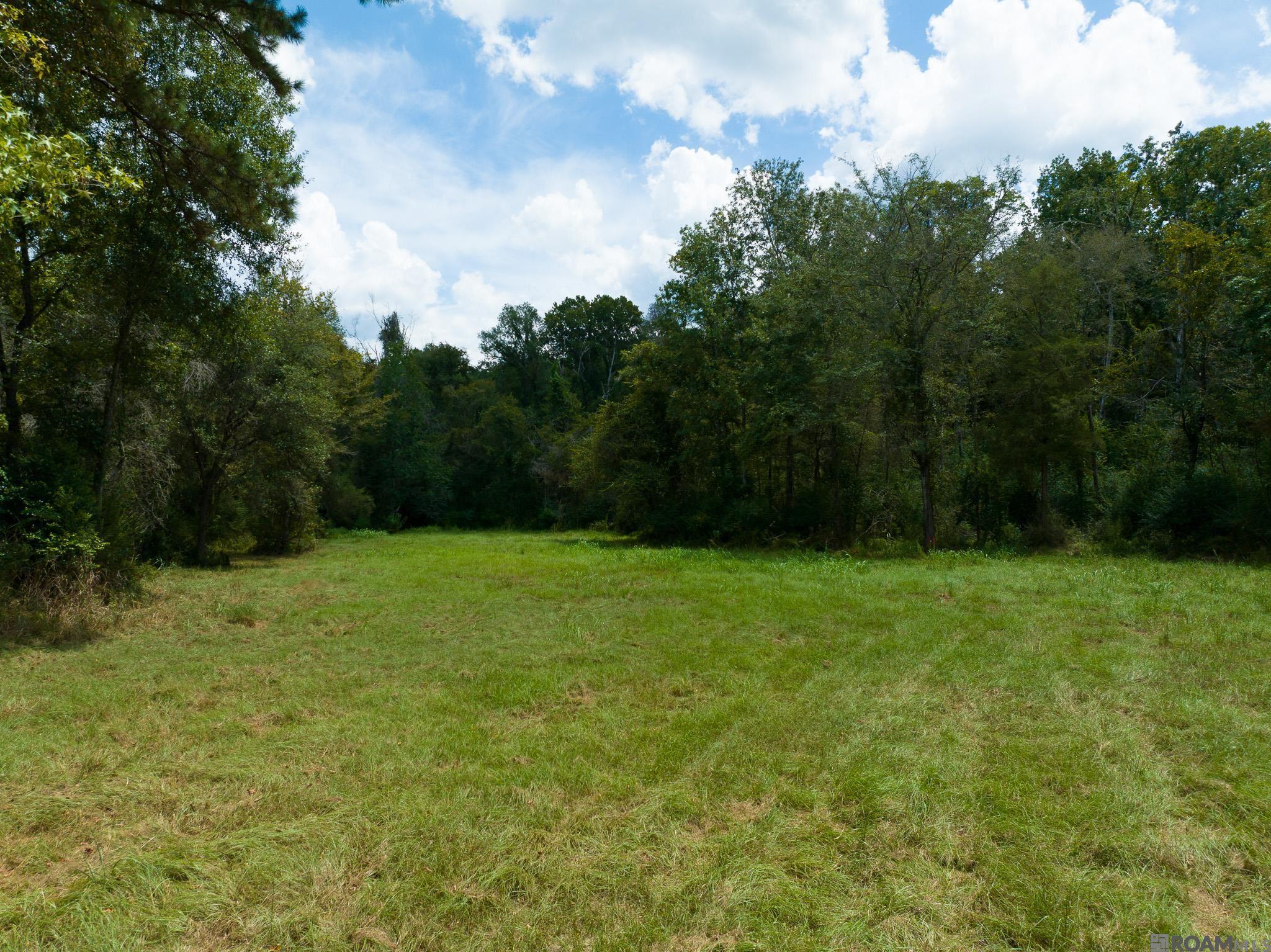 8536 Highland Rd, Saint Francisville, Louisiana image 10