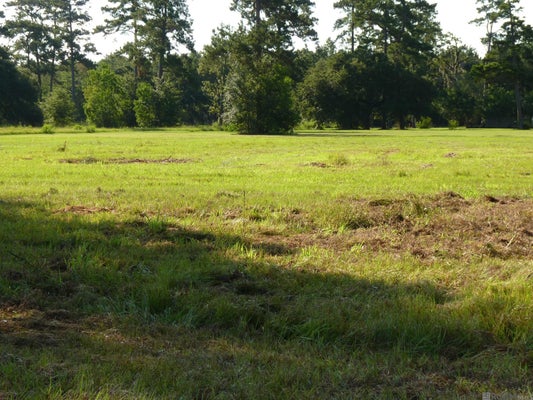 LOT 7 LYNDA, KILLIAN, LA 70462 - Image 37cd8ca8e0b4cc19fe8501e6eba3a869/836900528