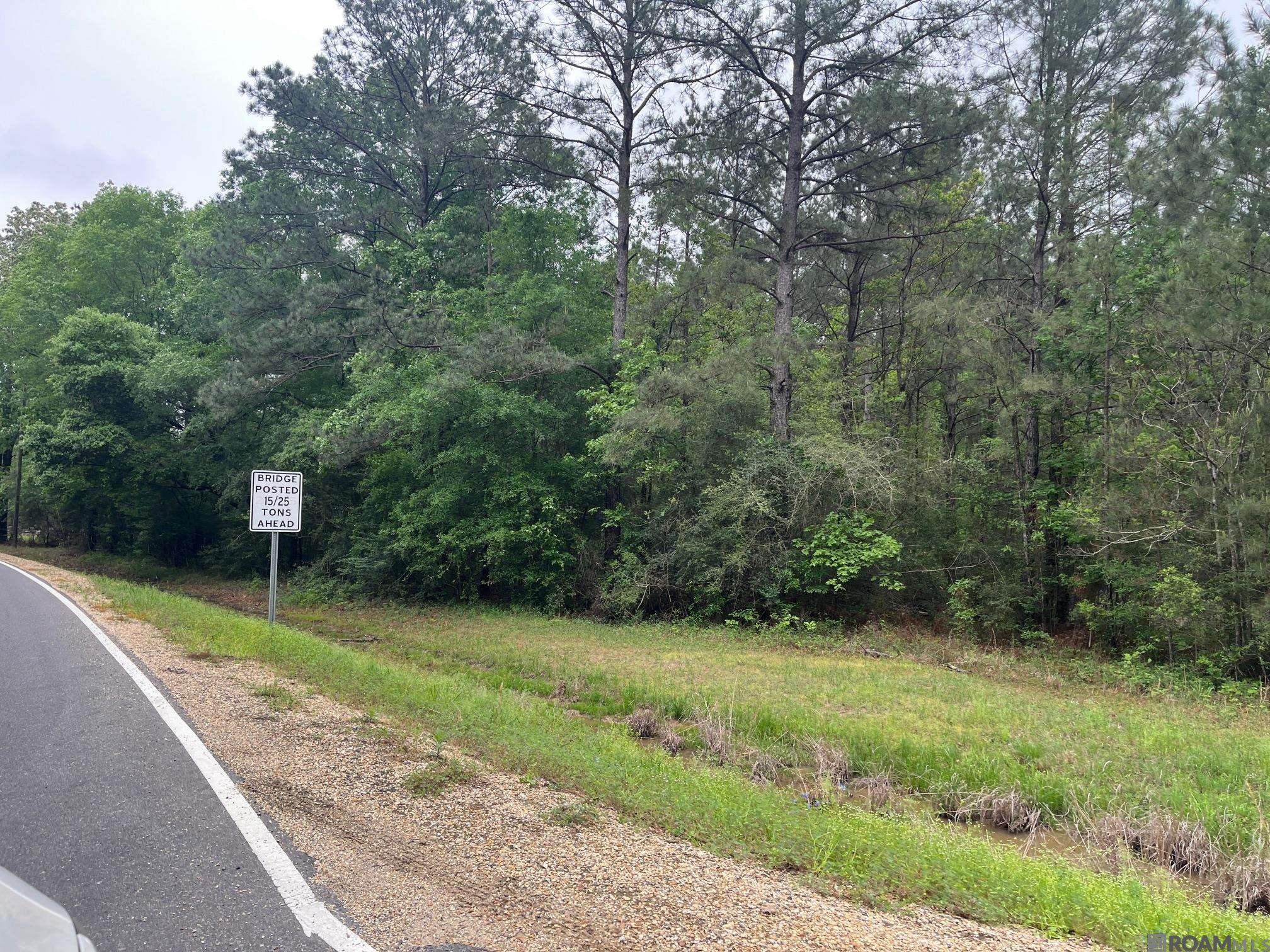 TBD Tract 1 Pride-baywood Rd, Pride, Louisiana image 5
