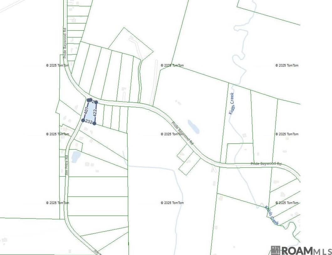 TBD Tract 1 Pride-baywood Rd, Pride, Louisiana image 2
