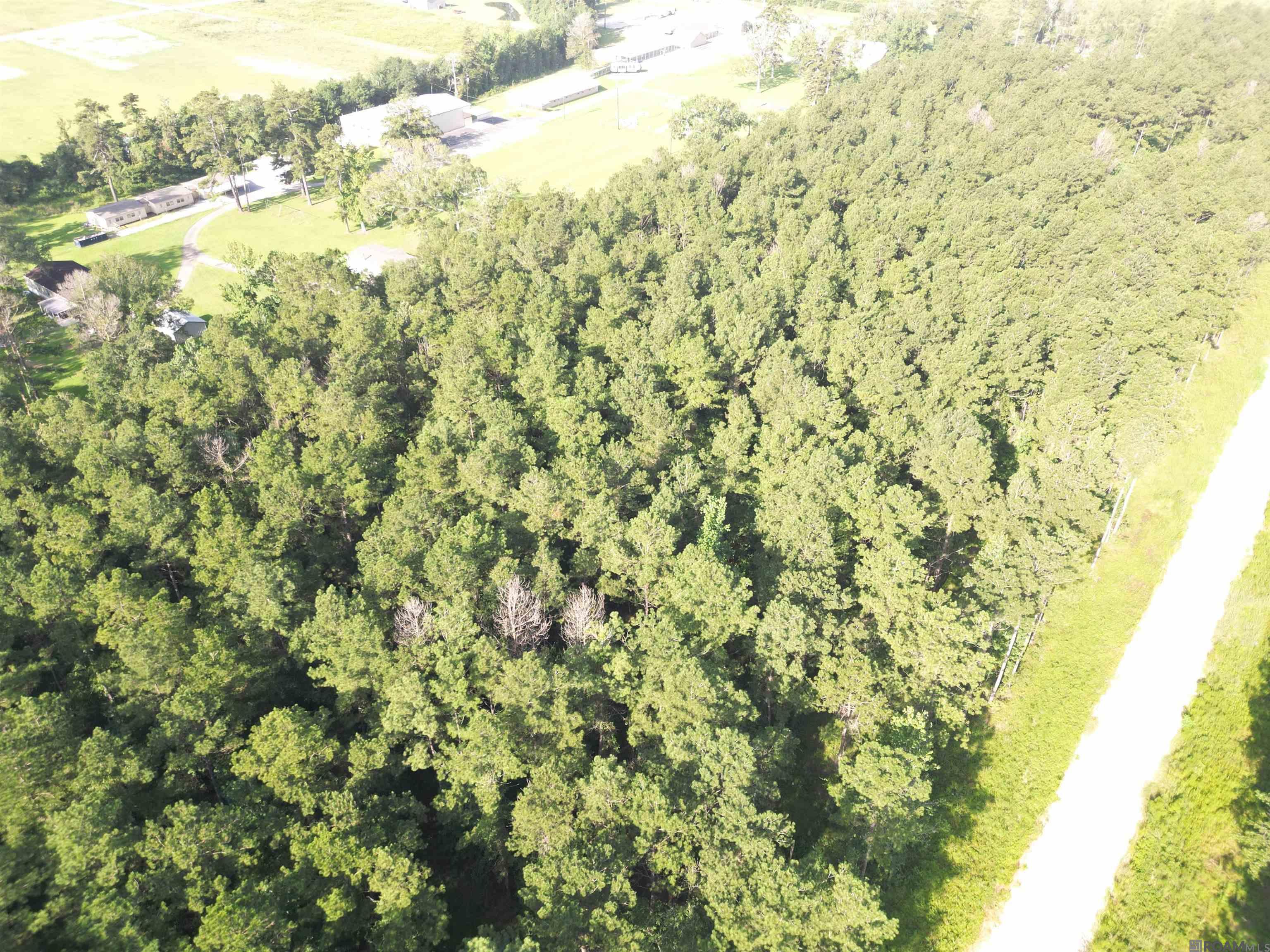 LOT 14 Butterbean Ridge, Livingston, Louisiana image 8