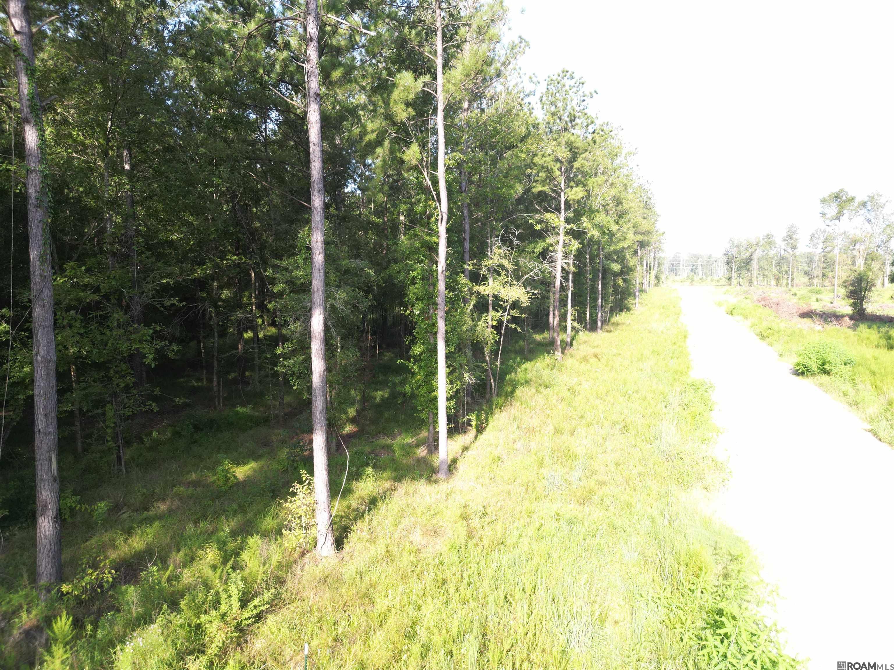 LOT 14 Butterbean Ridge, Livingston, Louisiana image 5