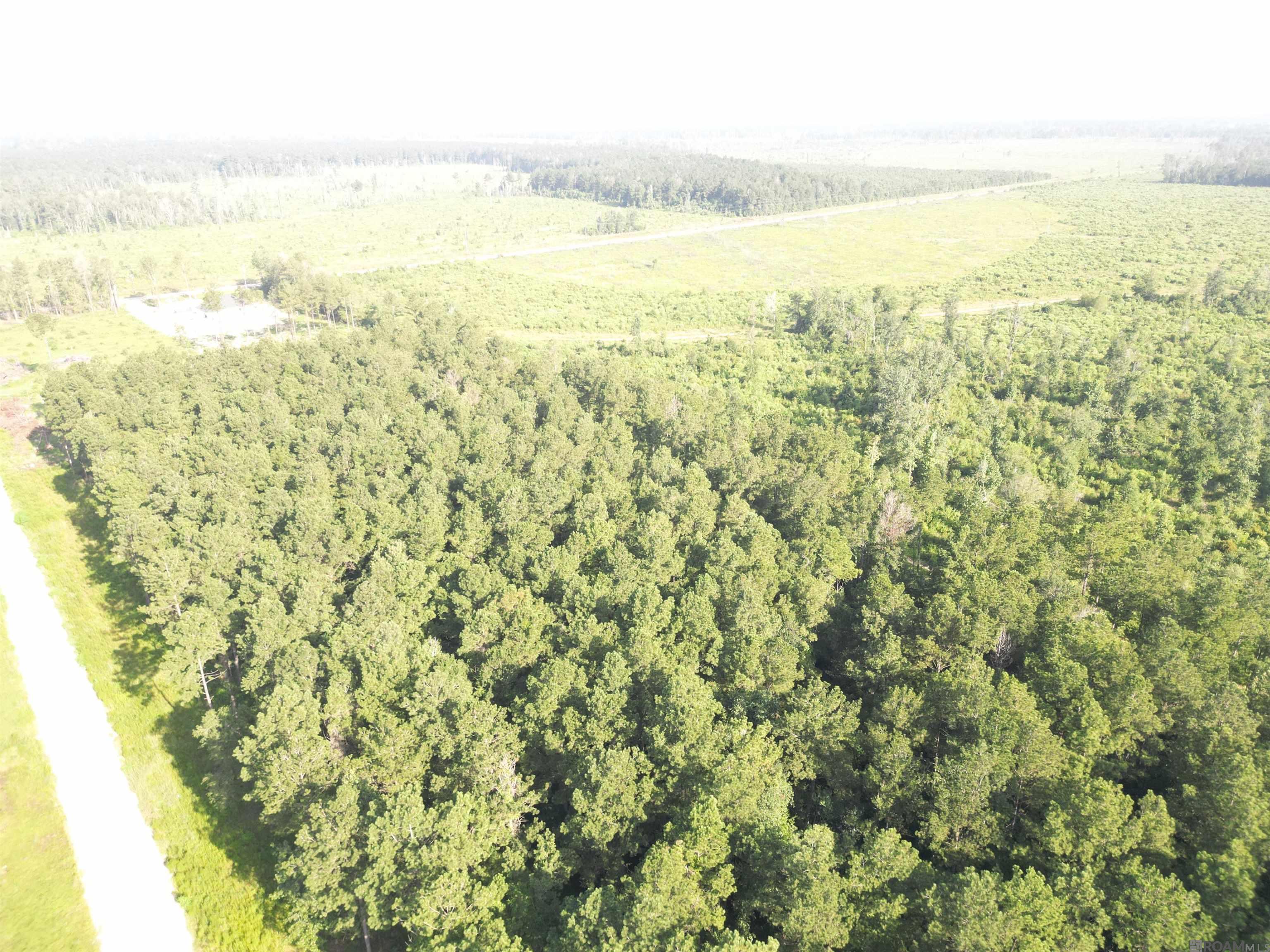 LOT 14 Butterbean Ridge, Livingston, Louisiana image 7