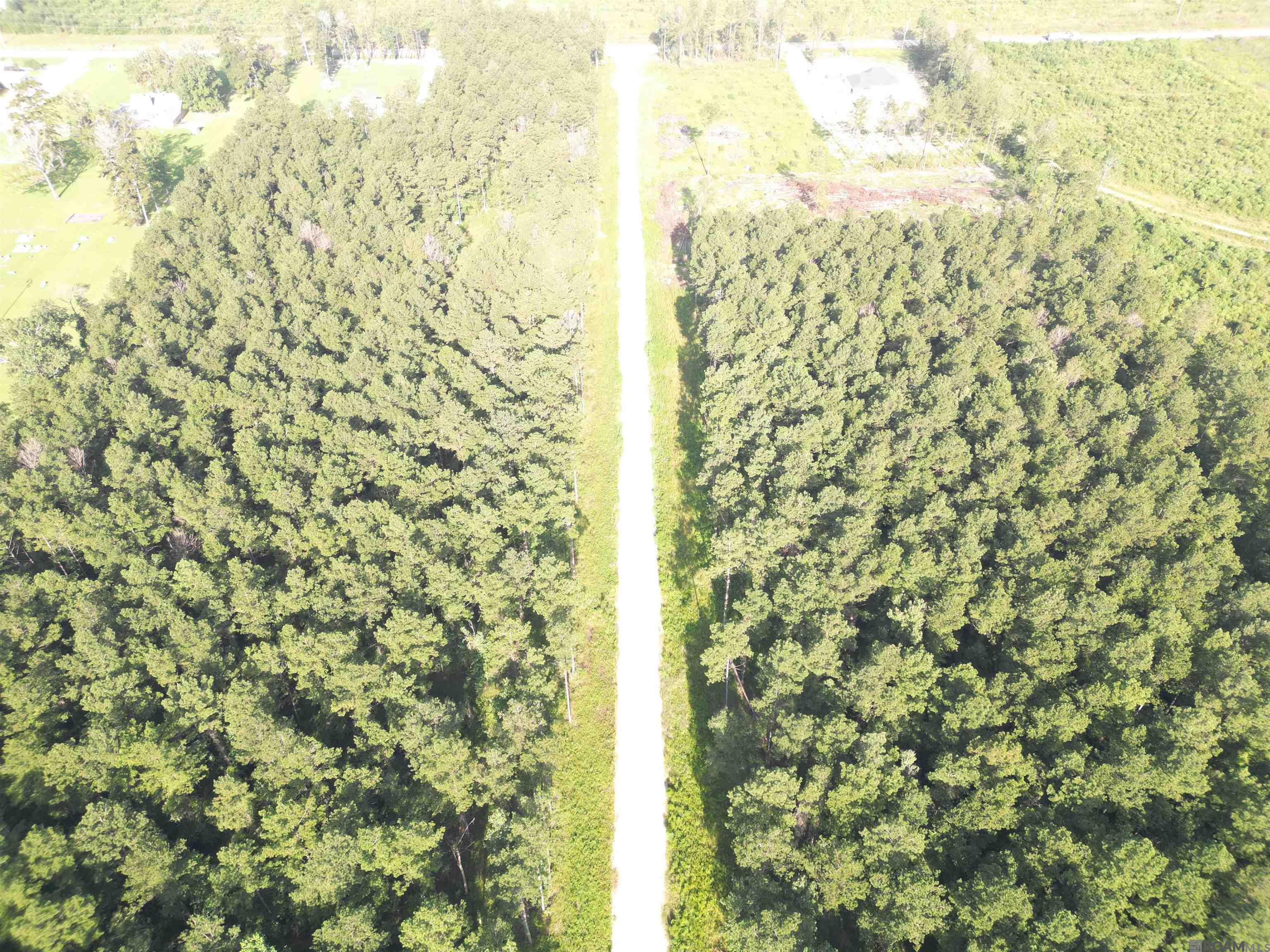 LOT 14 Butterbean Ridge, Livingston, Louisiana image 3