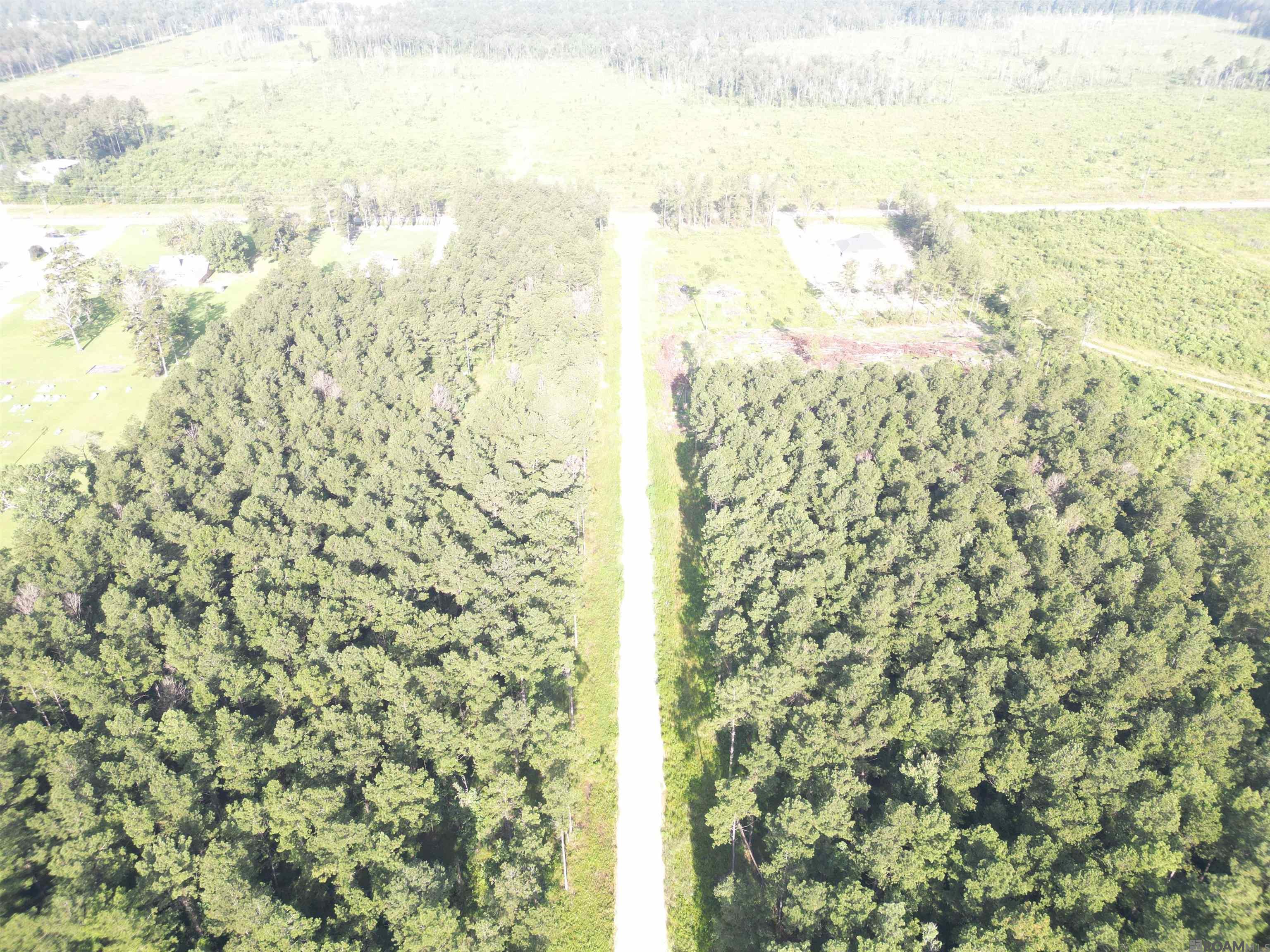 LOT 14 Butterbean Ridge, Livingston, Louisiana image 1