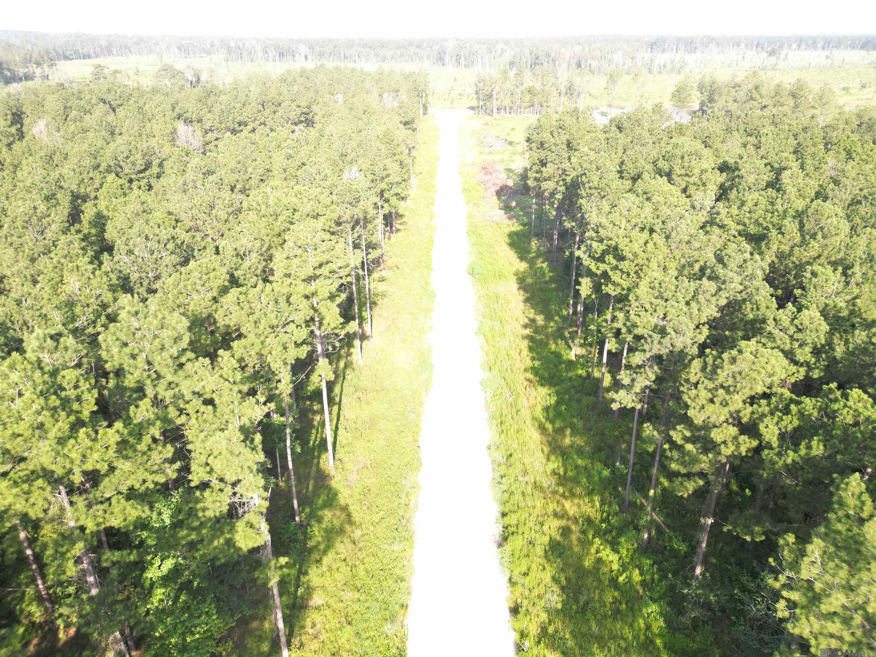 LOT 14 Butterbean Ridge, Livingston, Louisiana image 2