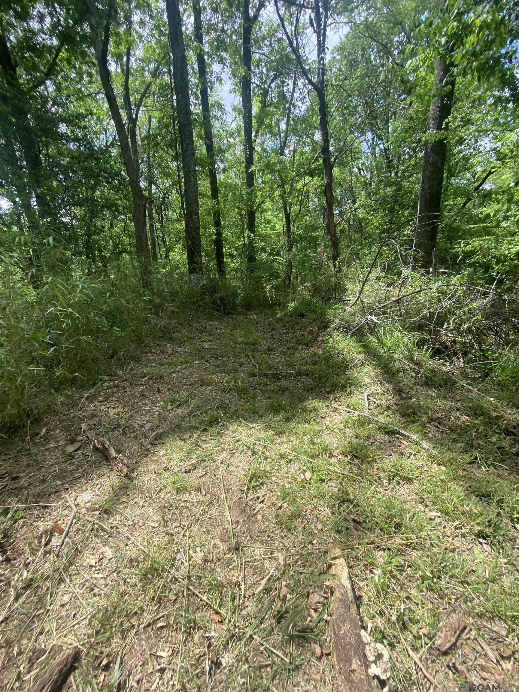 10354 Old Field Rd, Saint Francisville, Louisiana image 28
